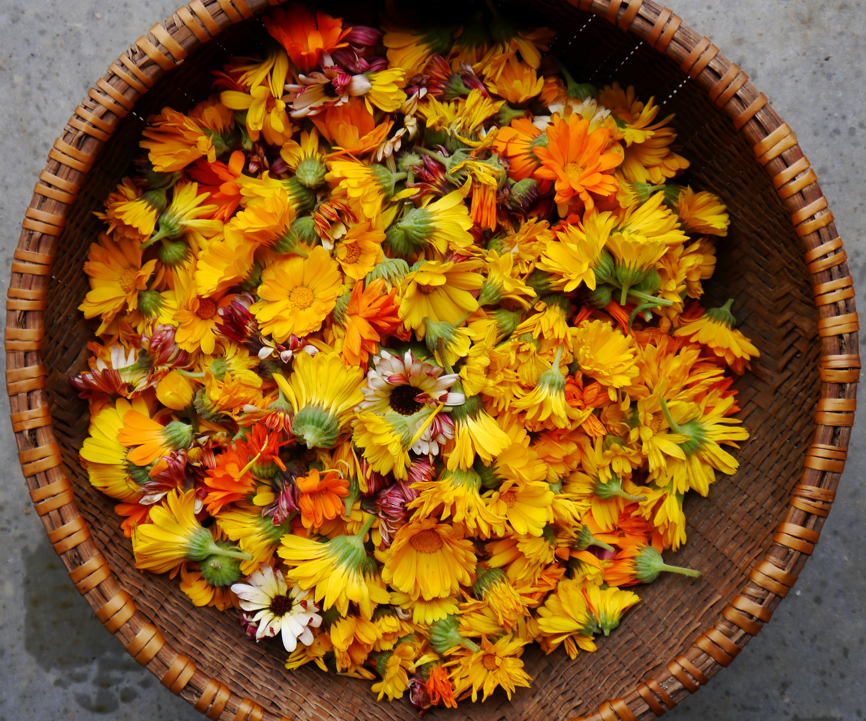 Basket of Calendula Flowers HD Wallpaper