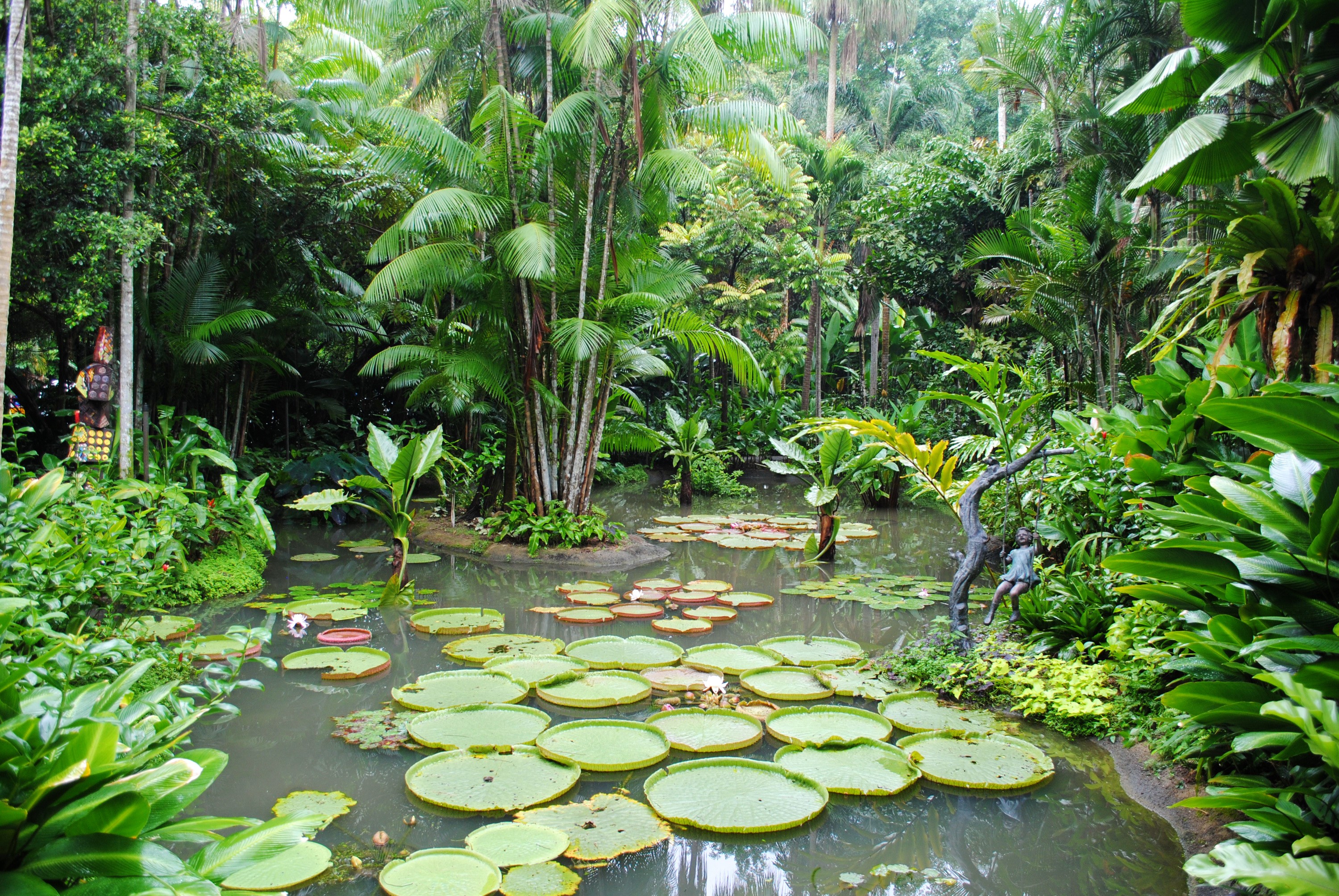 Botanic Gardens Singapore pond with water lilies and tropical plants HD Wallpaper