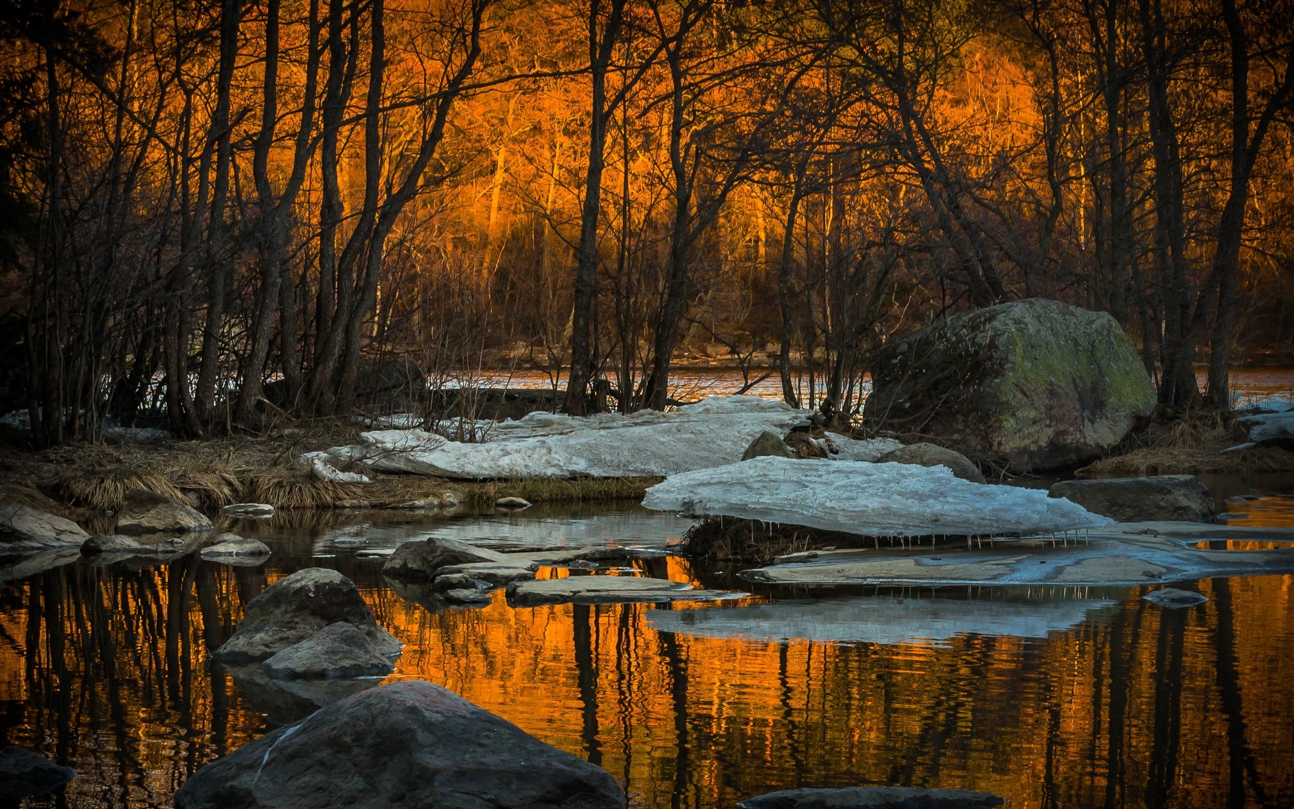 Forest with river and ice during autumn sunset HD Wallpaper