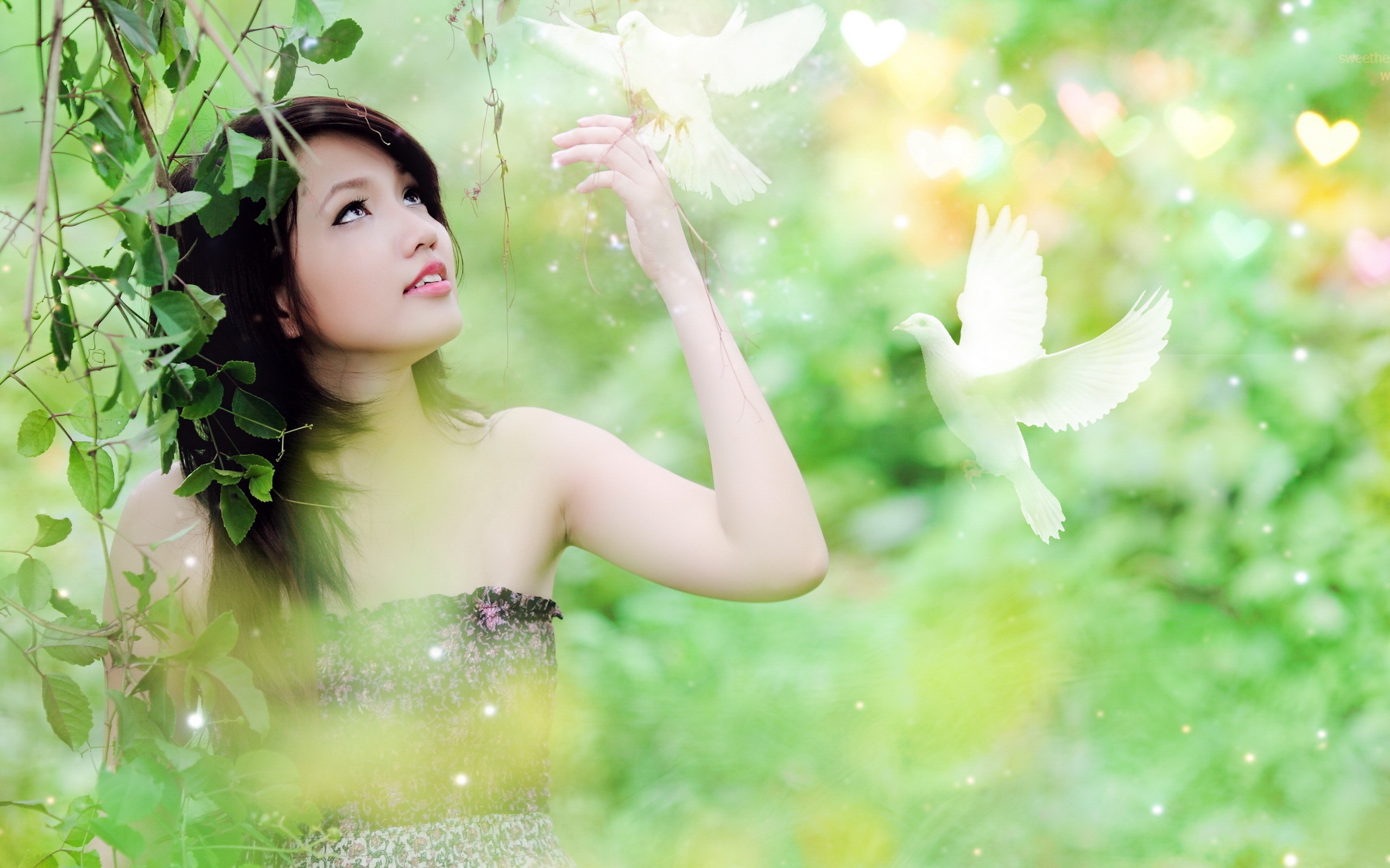 Young Asian woman with white doves in a garden HD Wallpaper