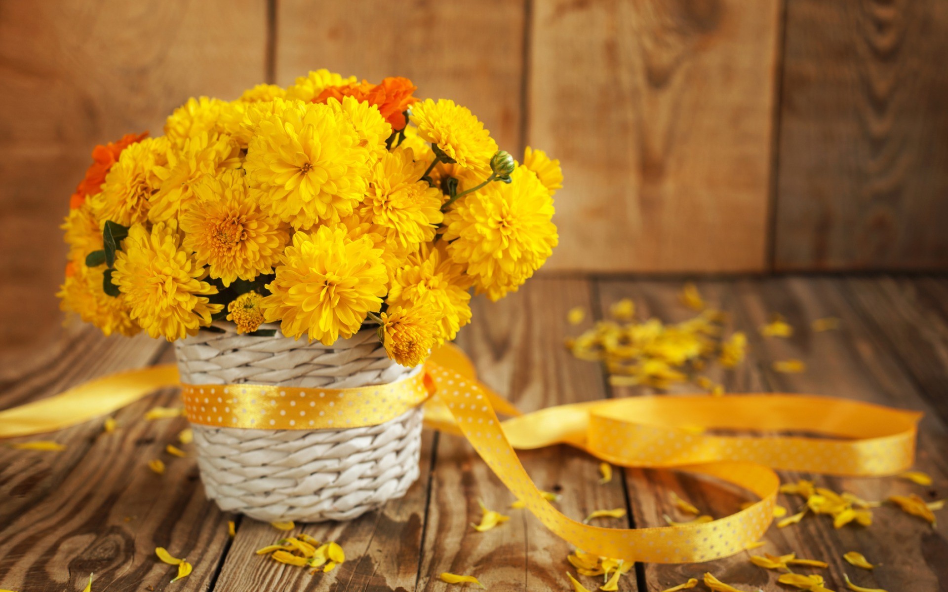 Yellow Chrysanthemums in a White Basket with Yellow Ribbon HD Wallpaper