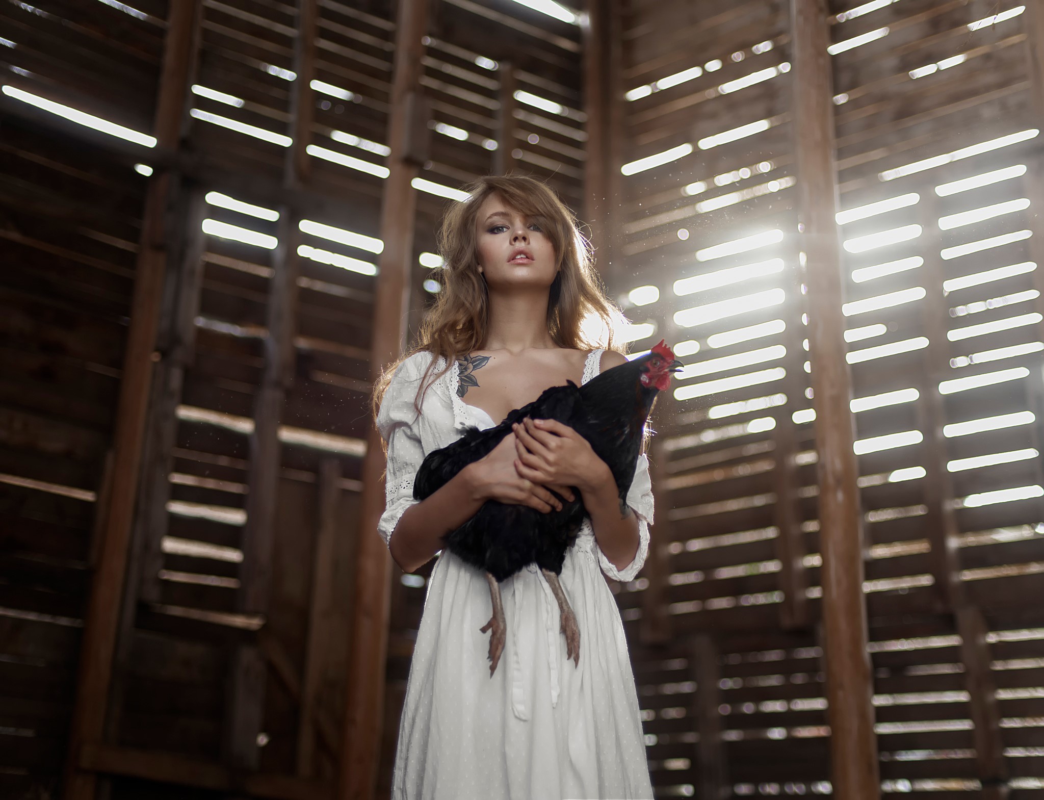 Tatiana Mercalova holding a chicken in a barn HD Wallpaper