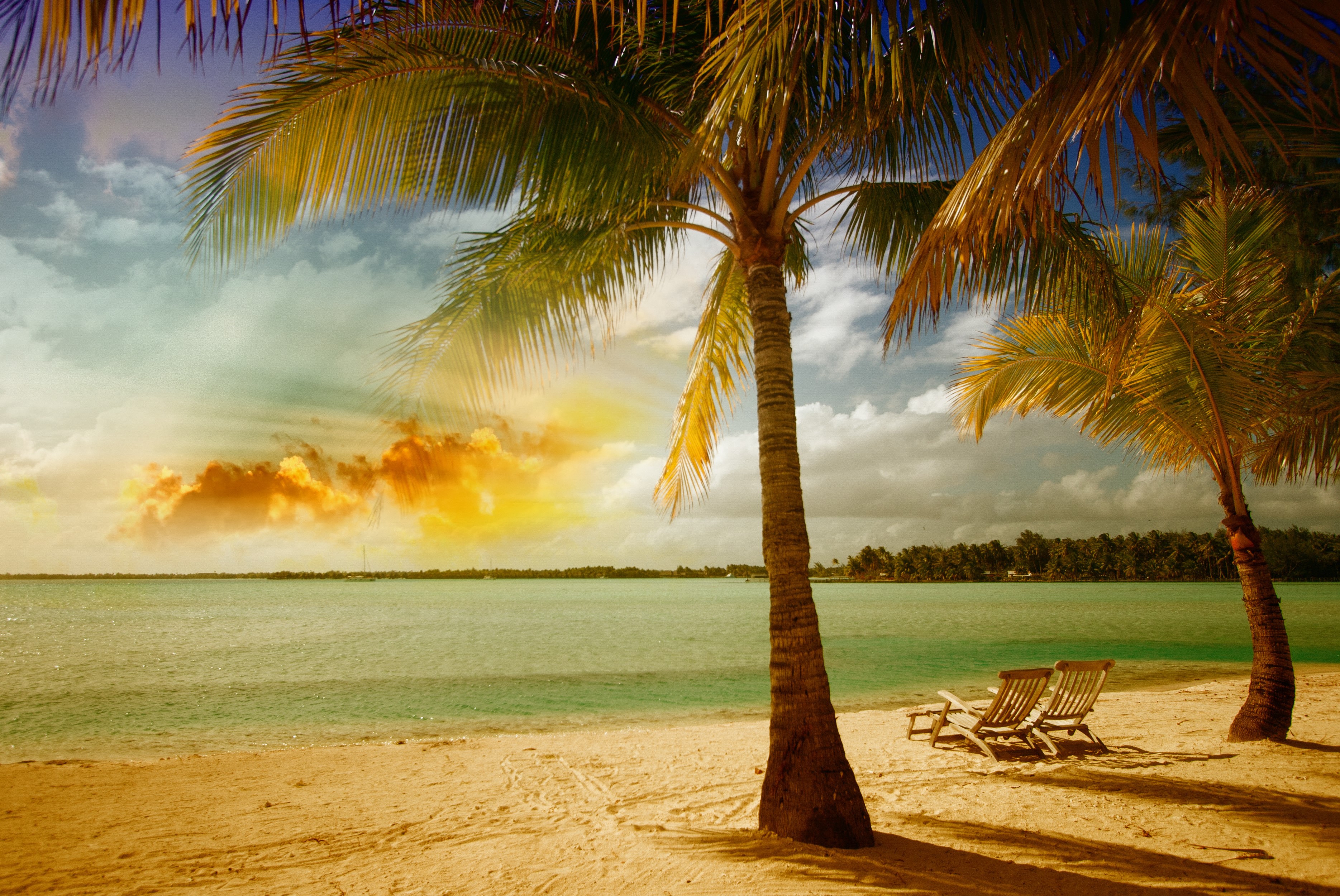 Tropical beach with palm trees and lounge chairs HD Wallpaper