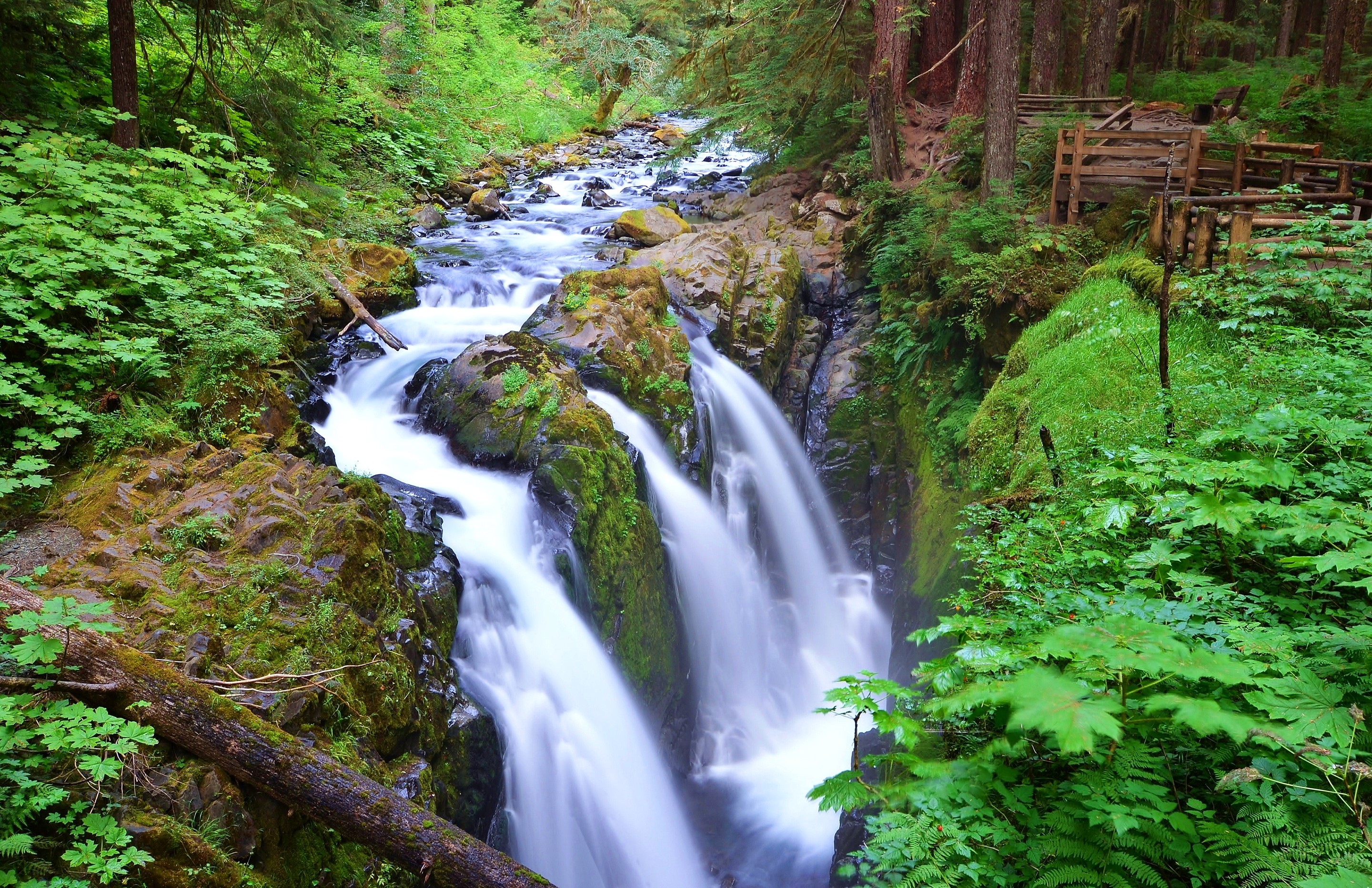 Sol Duc Falls in Olympic National Park, Washington, USA HD Wallpaper