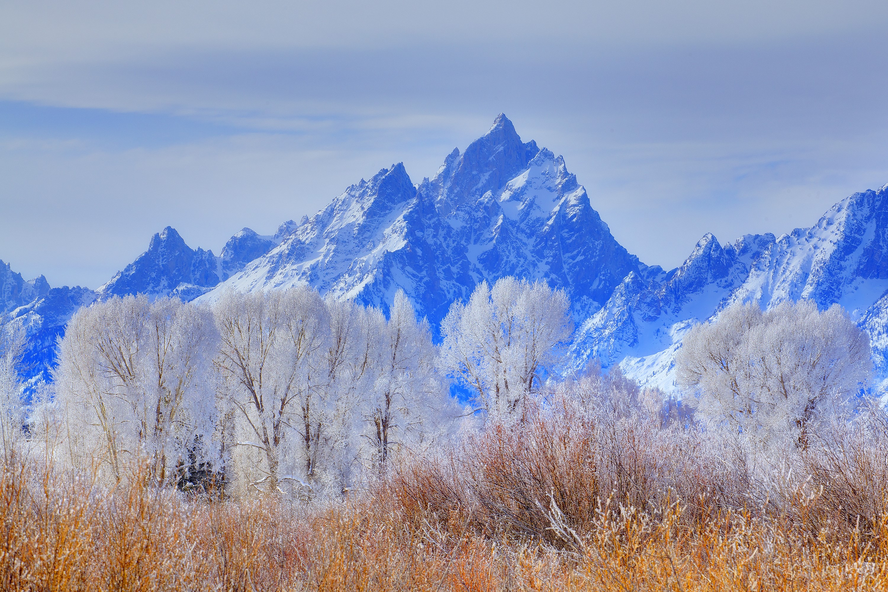 Grand Teton Mountains in Wyoming with Frosted Trees HD Wallpaper