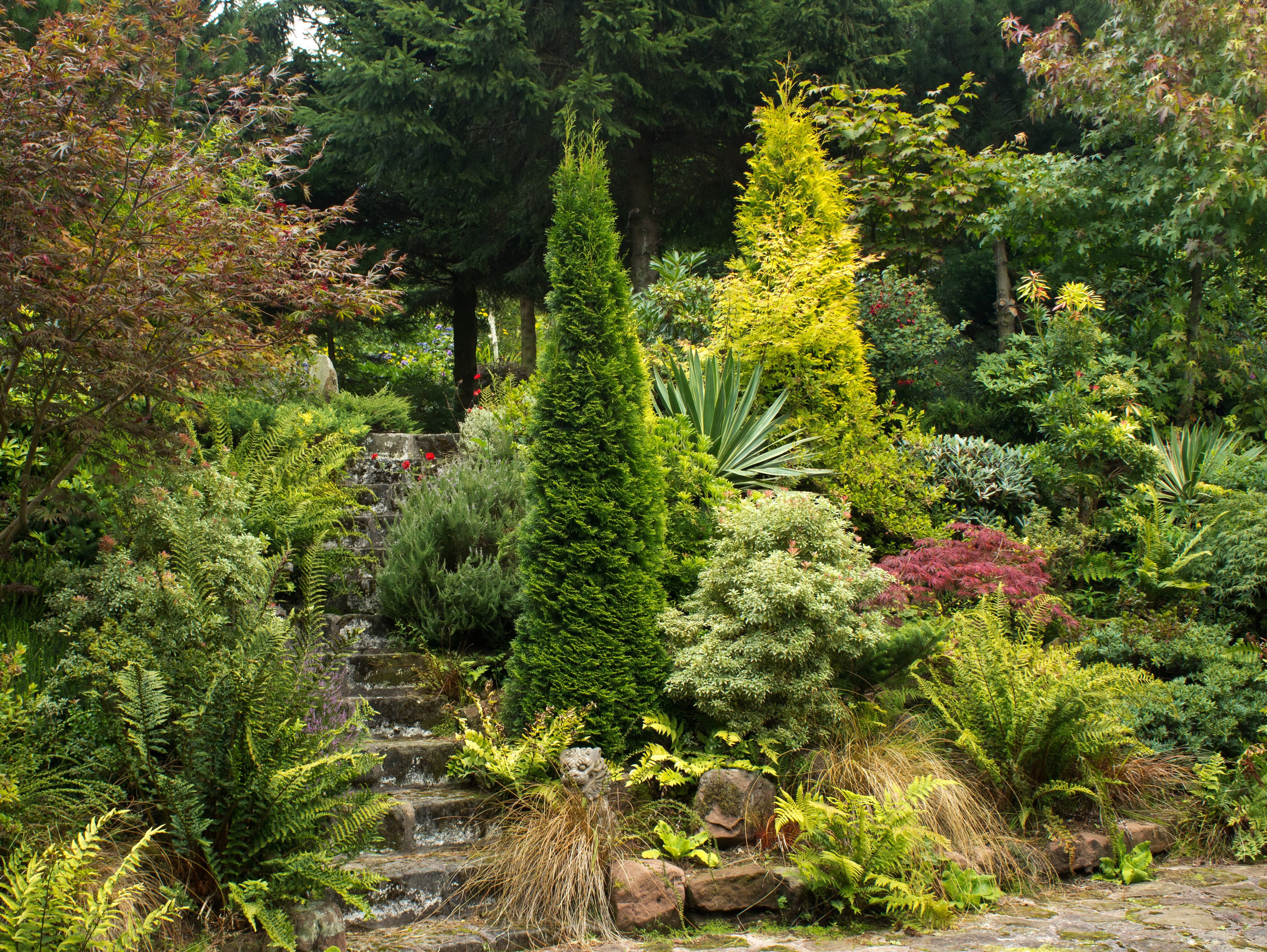 Stone steps winding through a lush garden with various trees and ferns HD Wallpaper