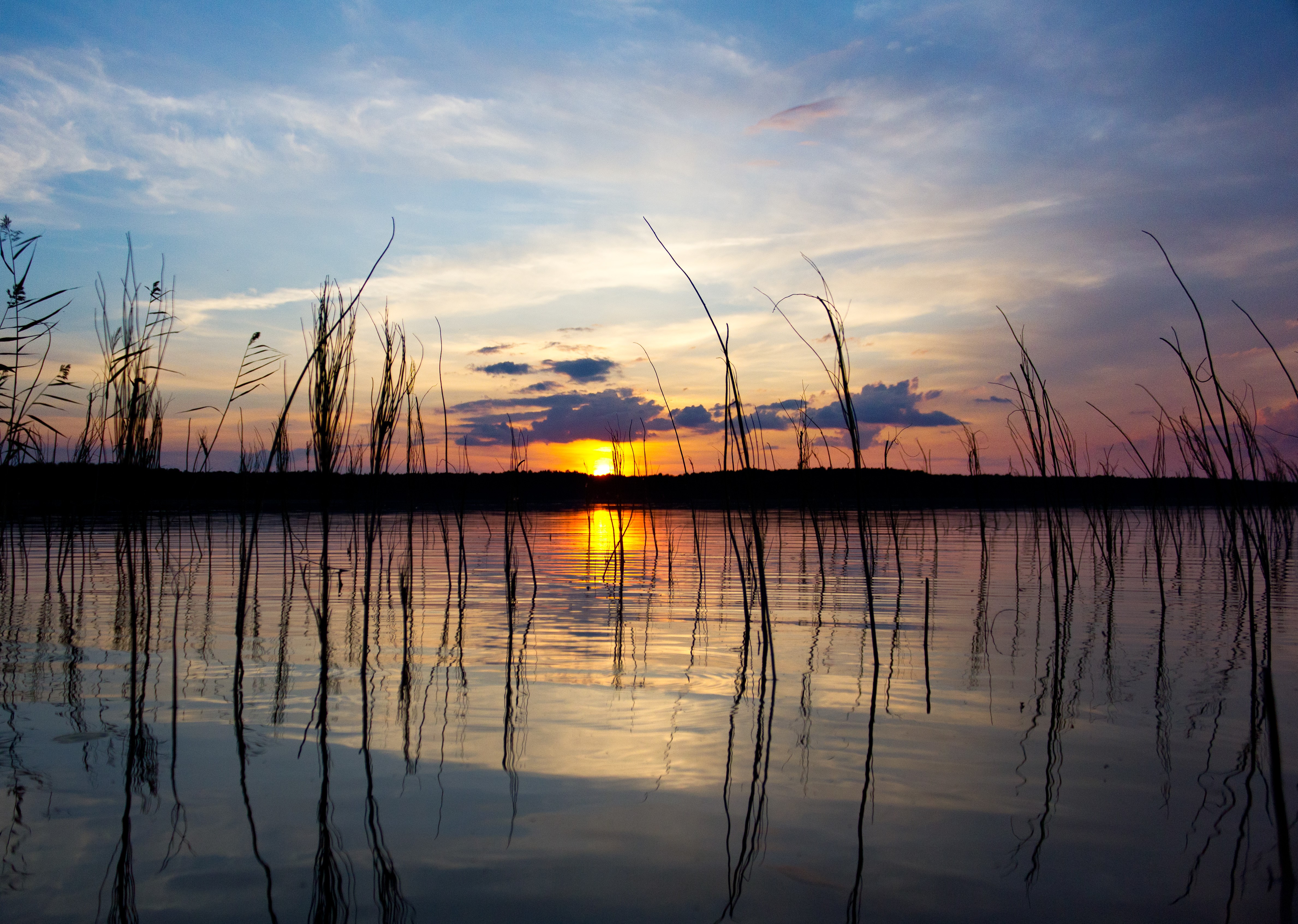 Sunset over a lake with reeds HD Wallpaper