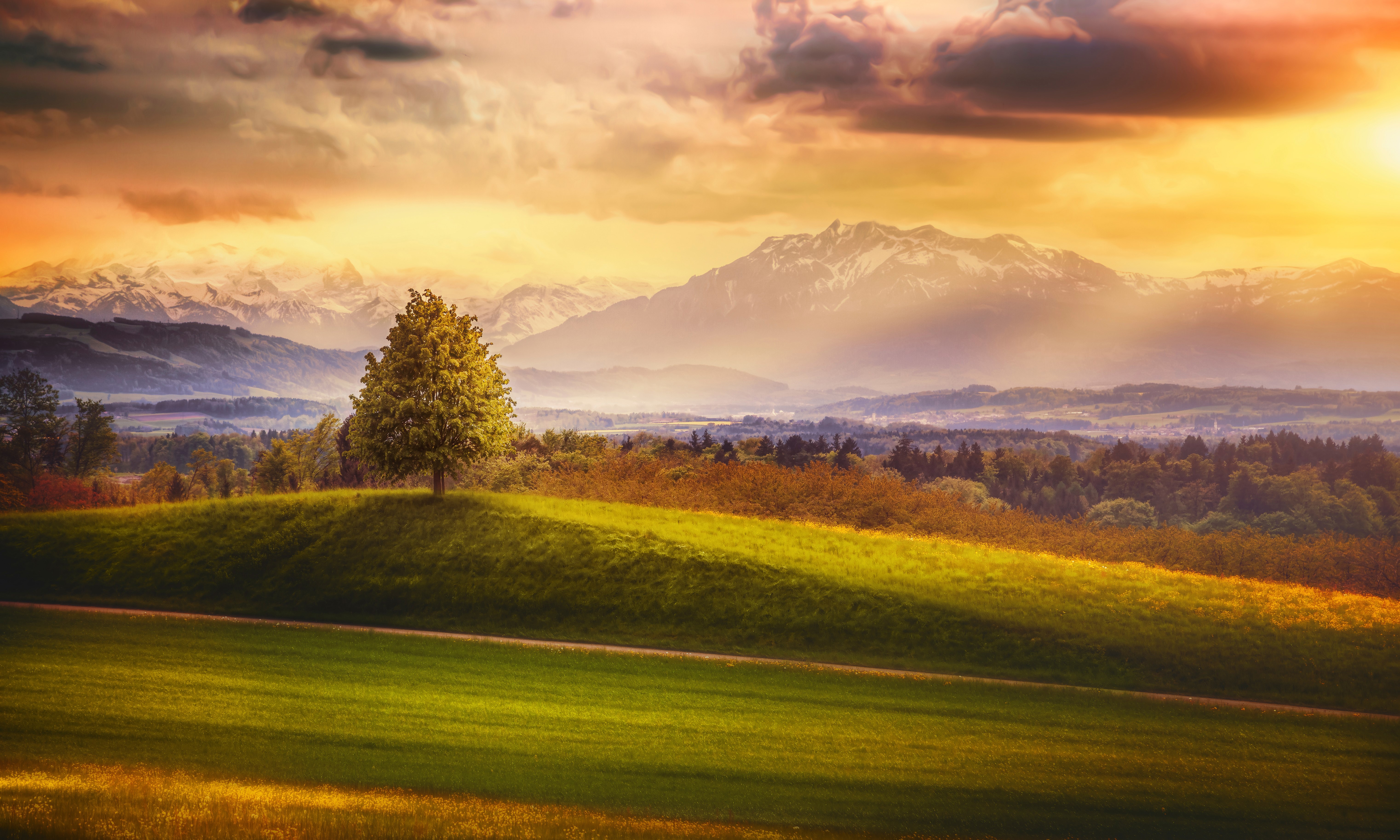 Switzerland Mountains and Fields at Sunset HD Wallpaper
