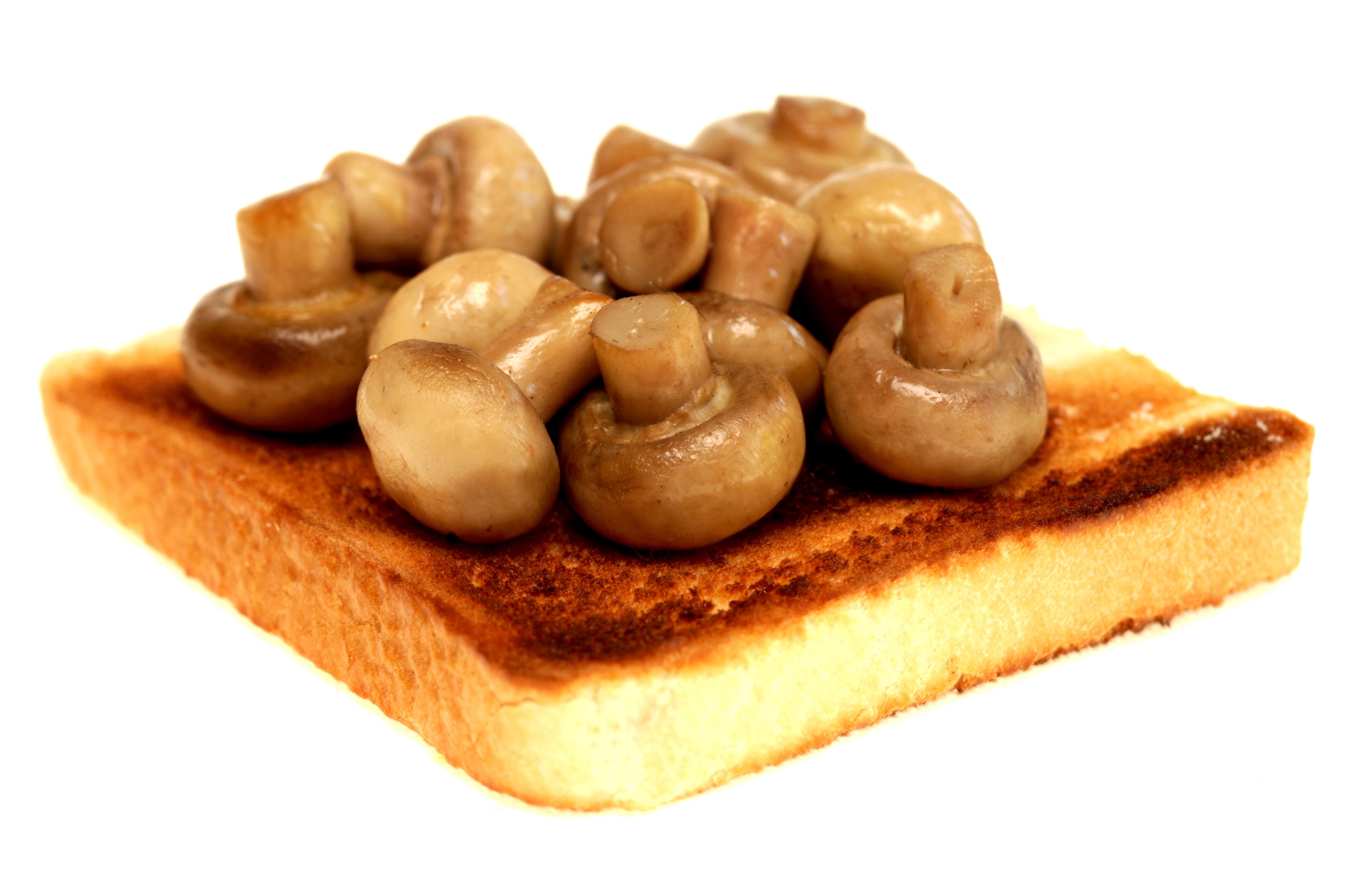 Mushrooms on Toast HD Wallpaper
