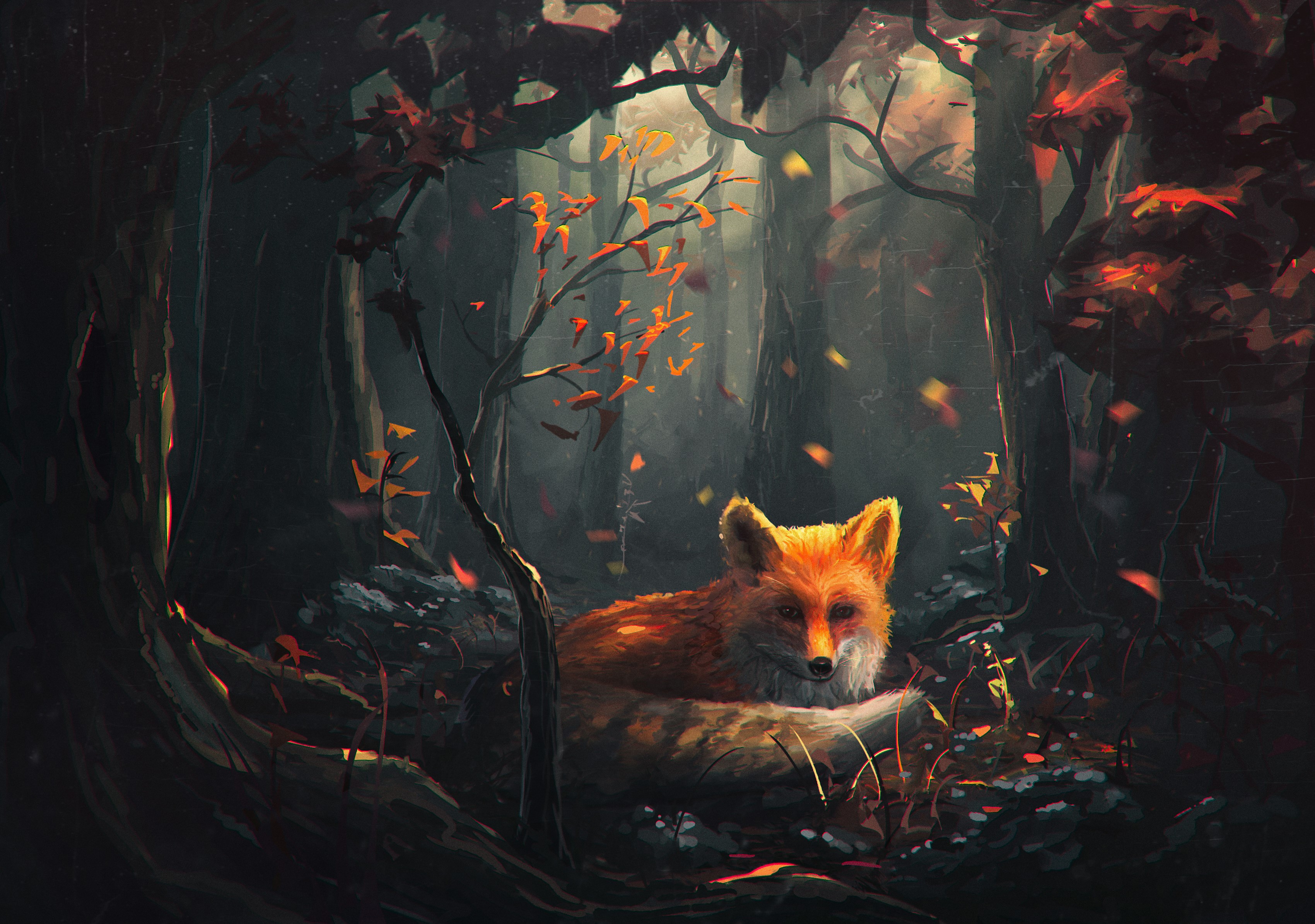 Fox resting in a sunlit forest during autumn HD Wallpaper