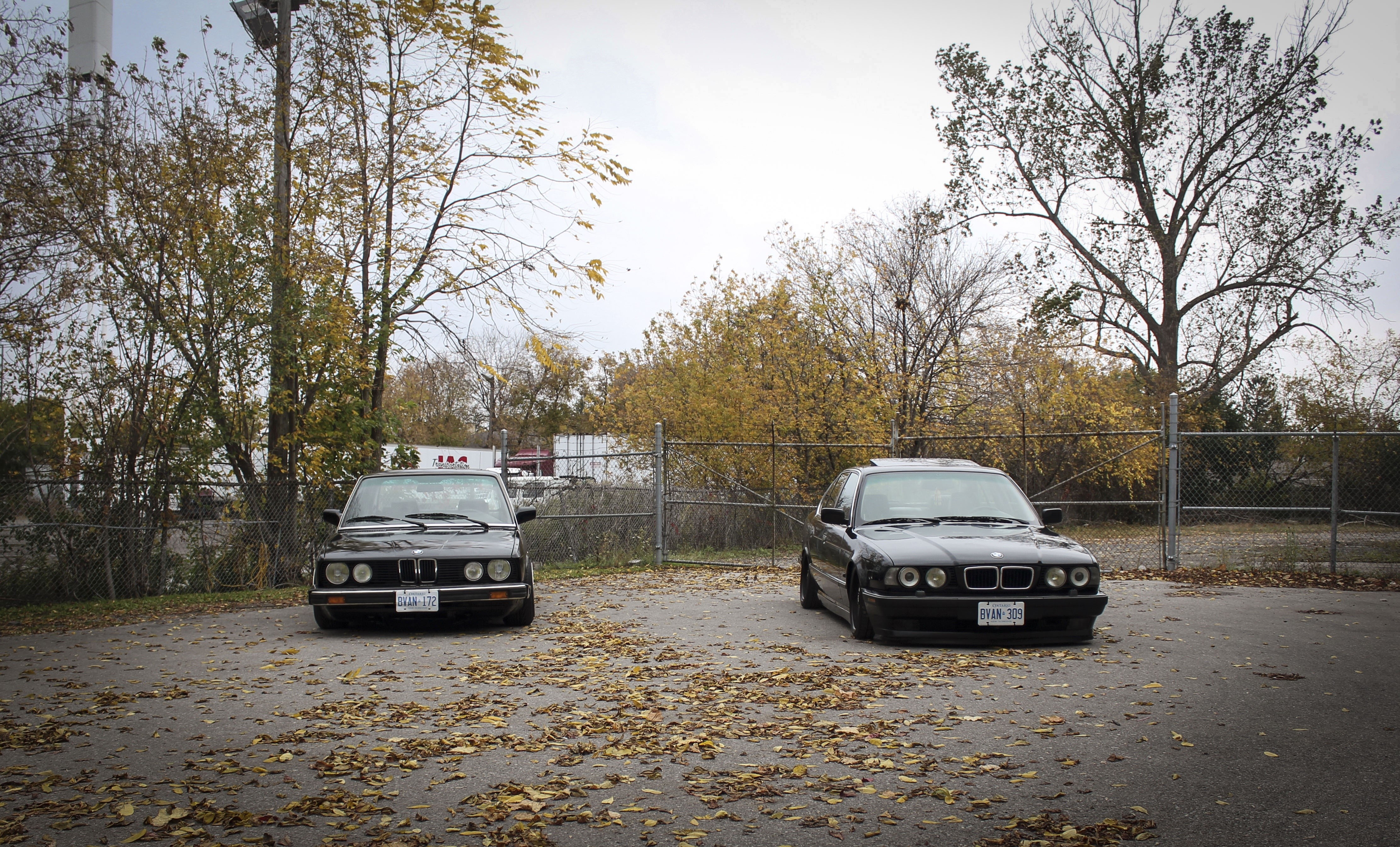 Two BMW E28 and E34 cars in autumn HD Wallpaper