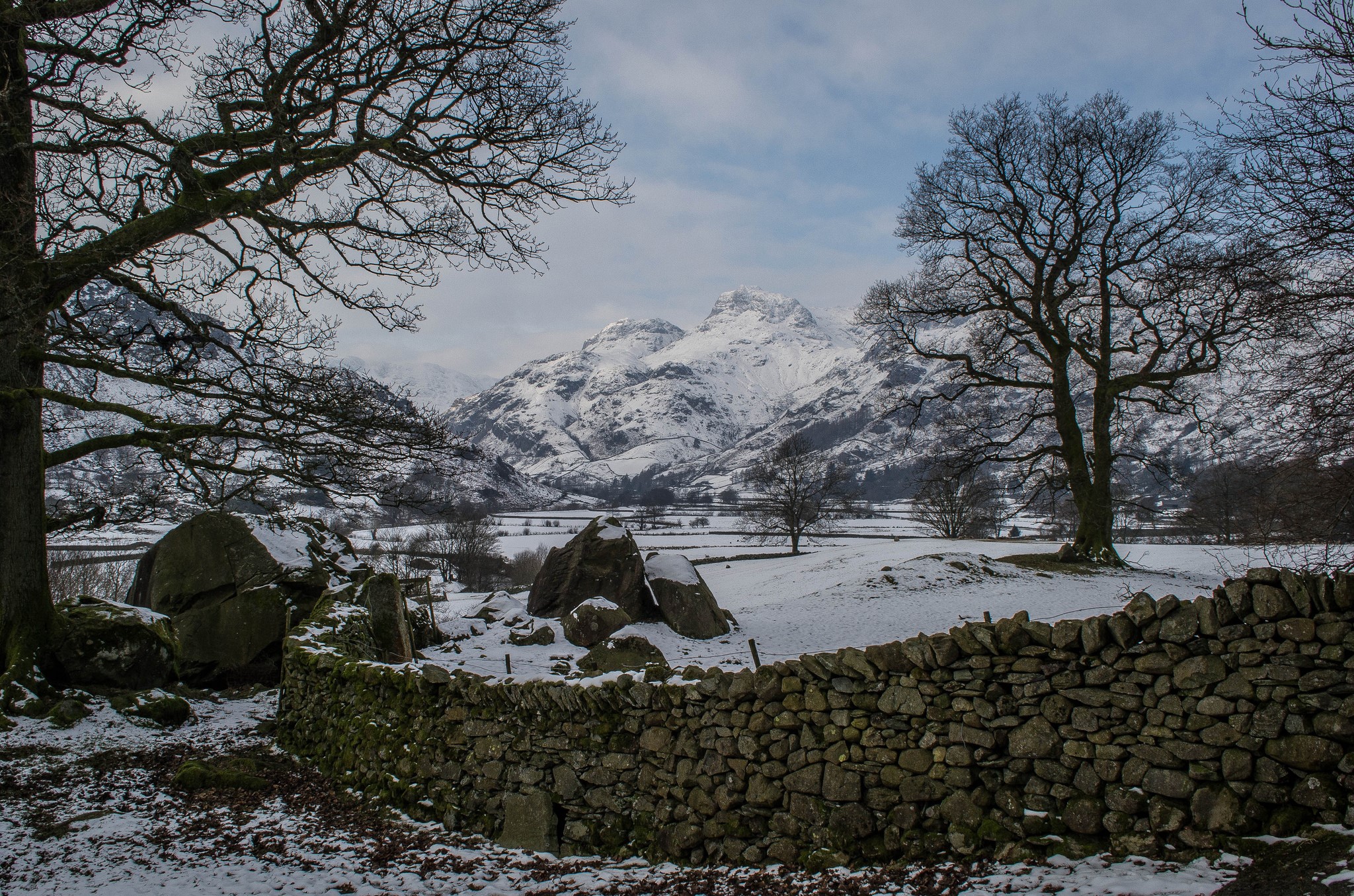 Snowy mountains and trees with a stone wall in winter HD Wallpaper