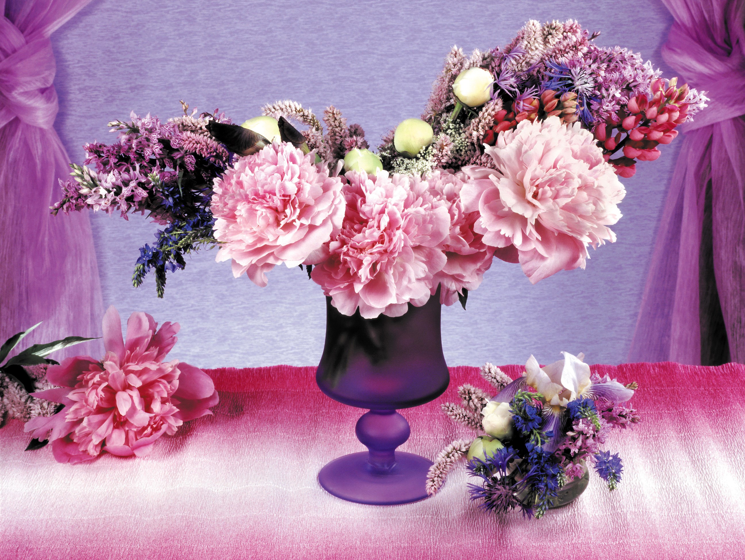 Pink Peonies and Lupine in a Purple Vase HD Wallpaper