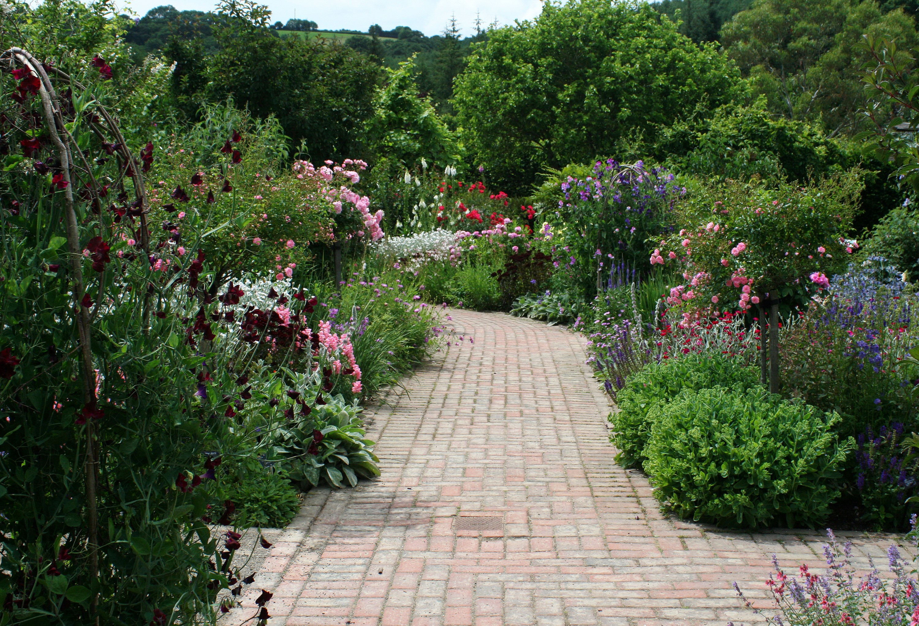 Rosemoor Garden Devon England shrubs and flowers HD Wallpaper