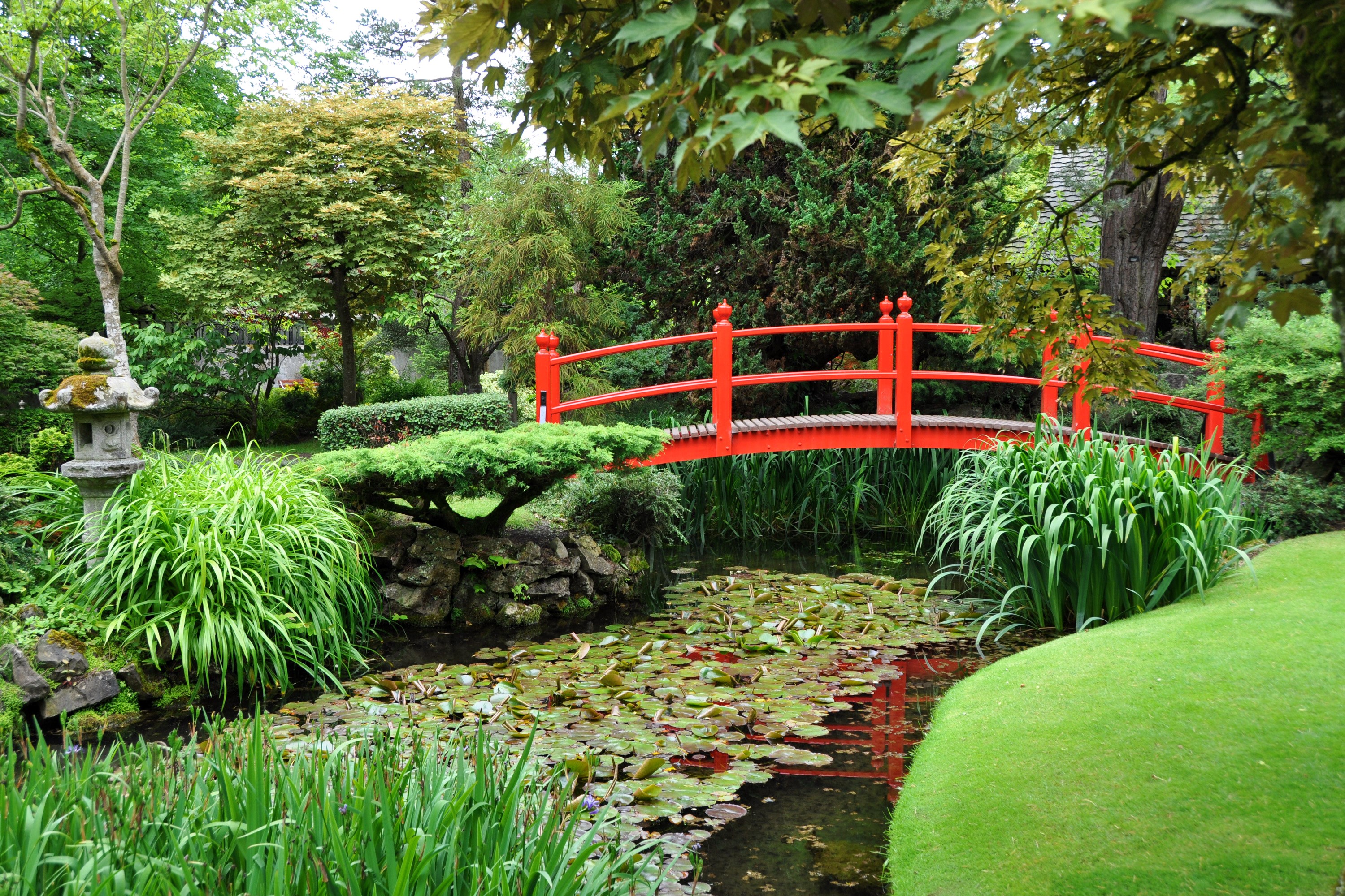 Japanese garden with red bridge over pond HD Wallpaper