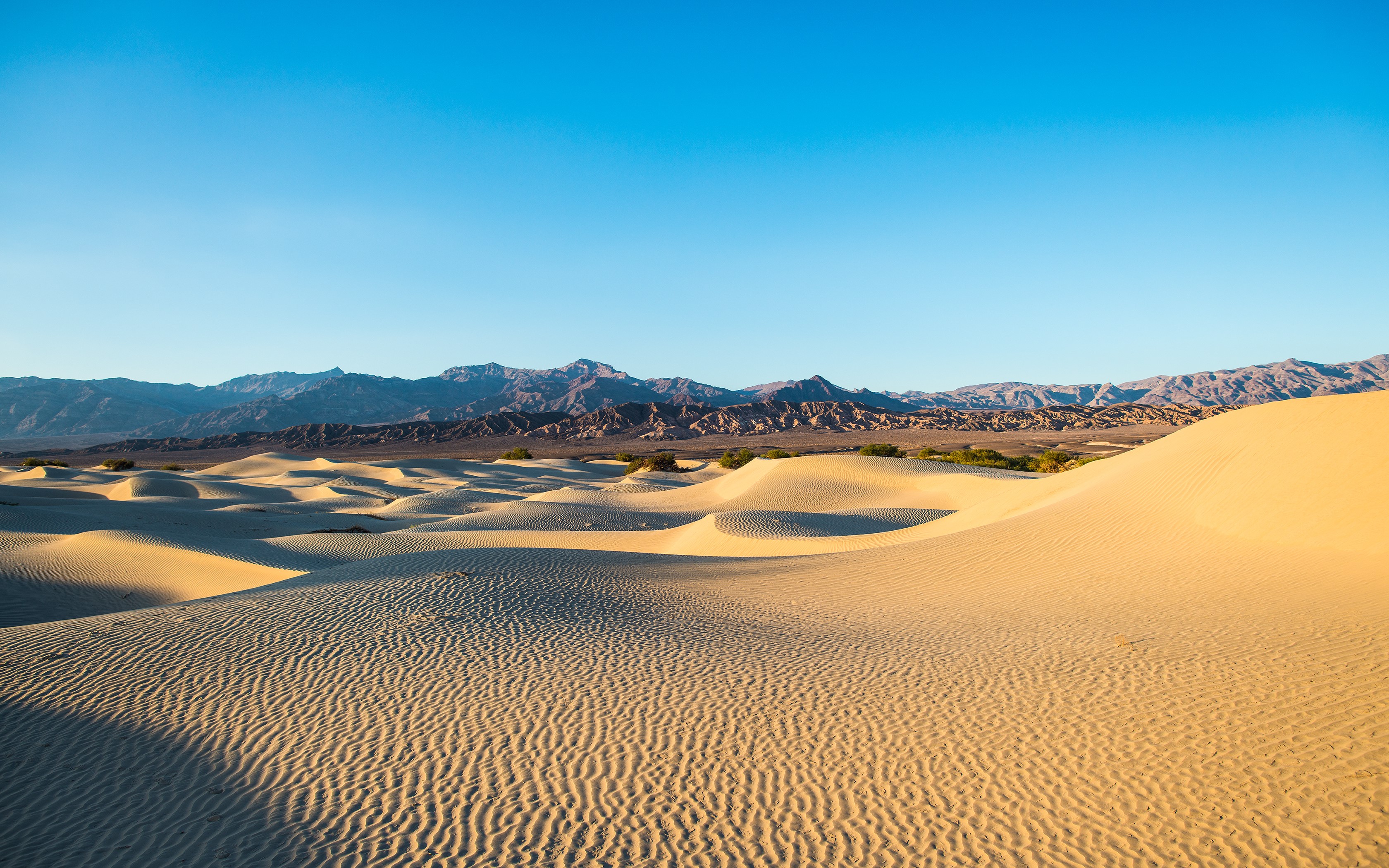 Desert dunes and mountains under a clear blue sky HD Wallpaper