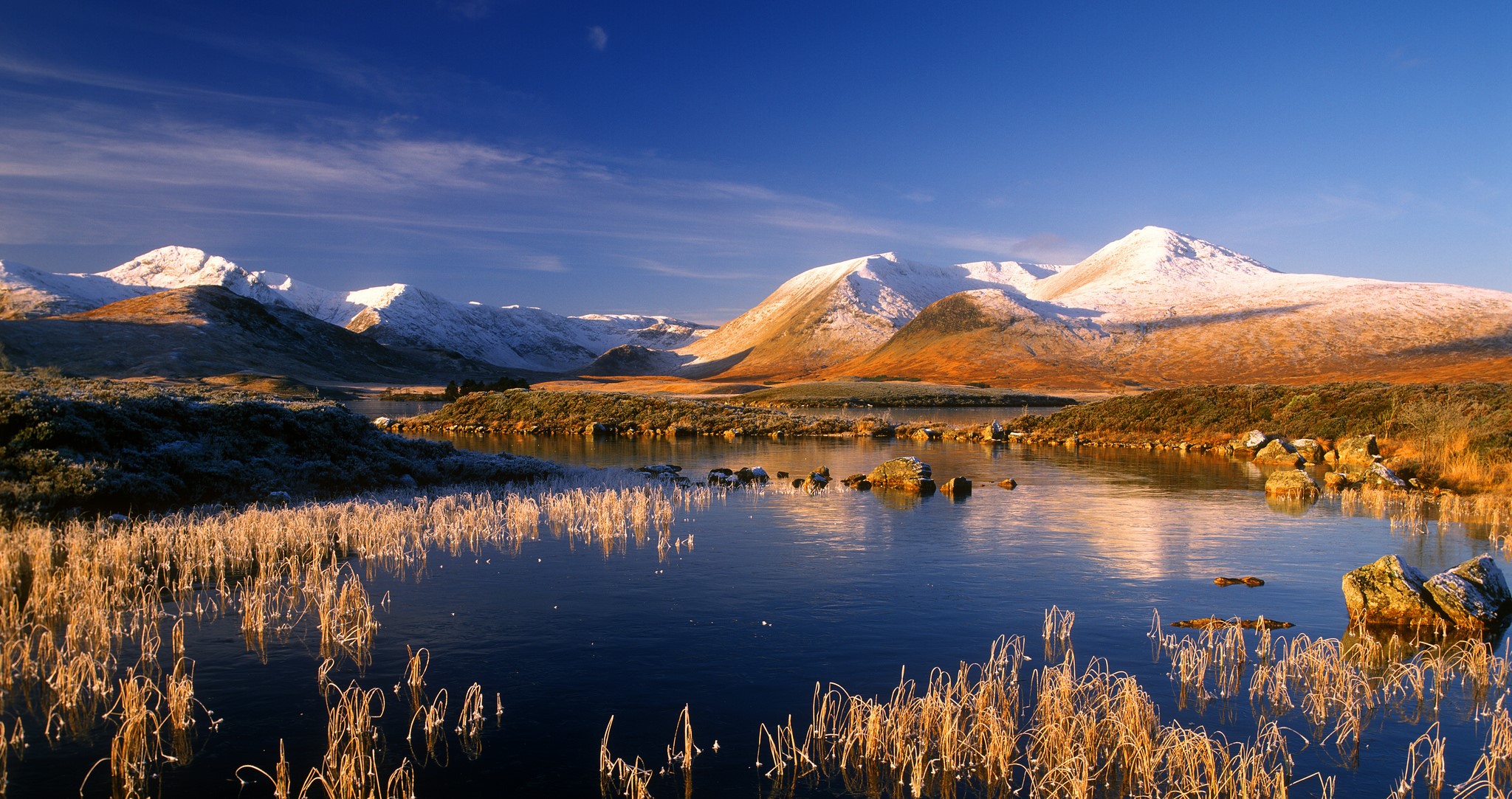 Snow-capped mountains reflected in a lake with frosted grass HD Wallpaper