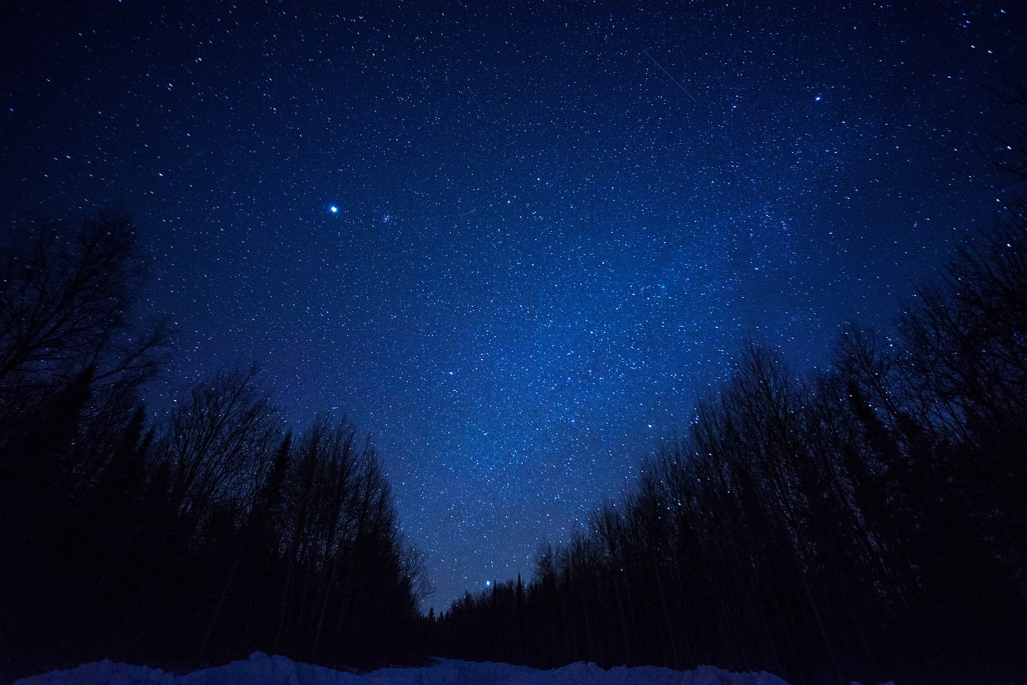 Starry night sky over a forest HD Wallpaper