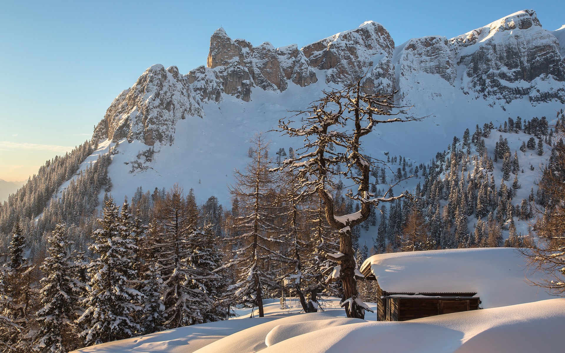 Snowy mountain landscape with a small cabin and trees HD Wallpaper