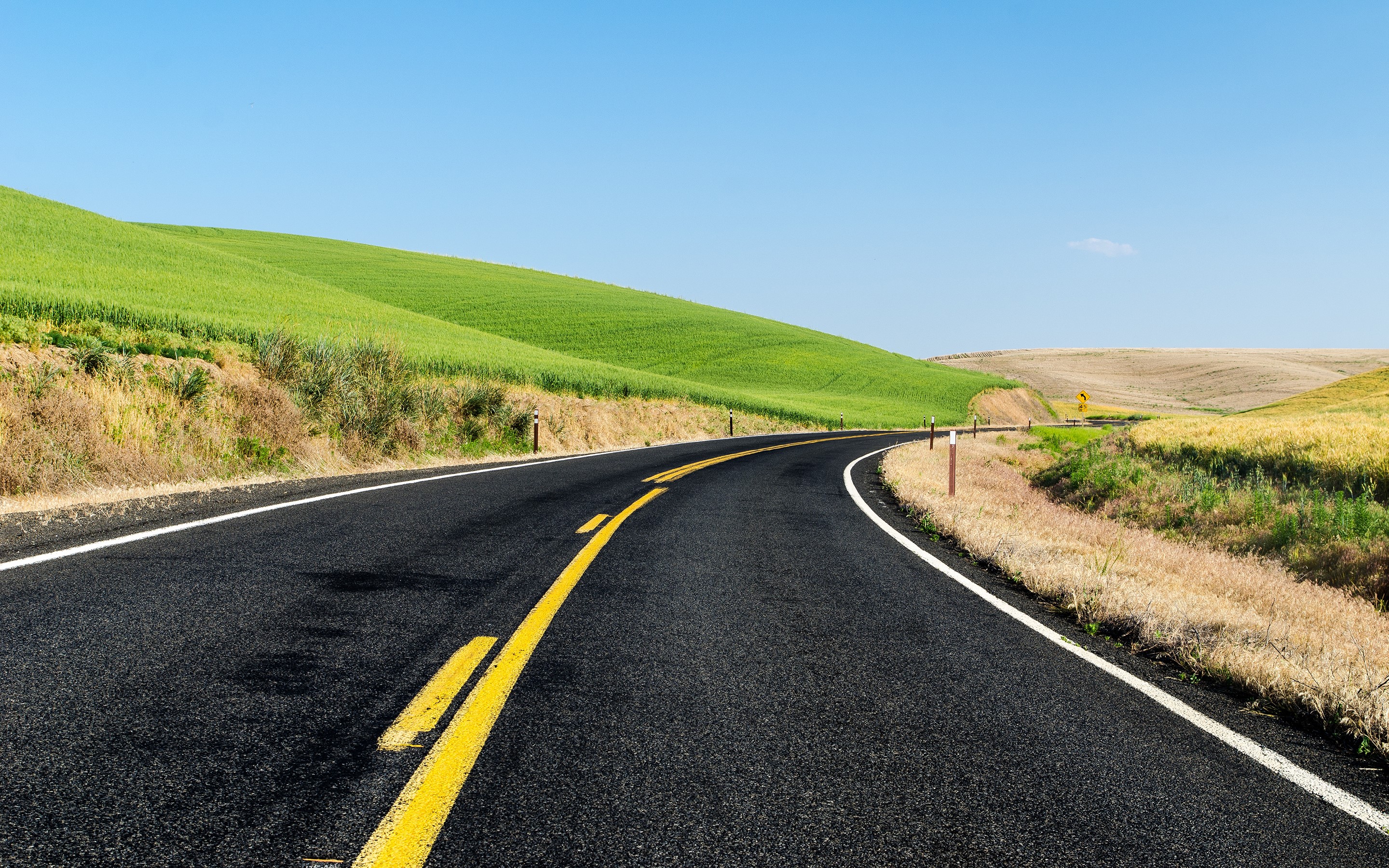 Road through rolling green hills in the USA HD Wallpaper