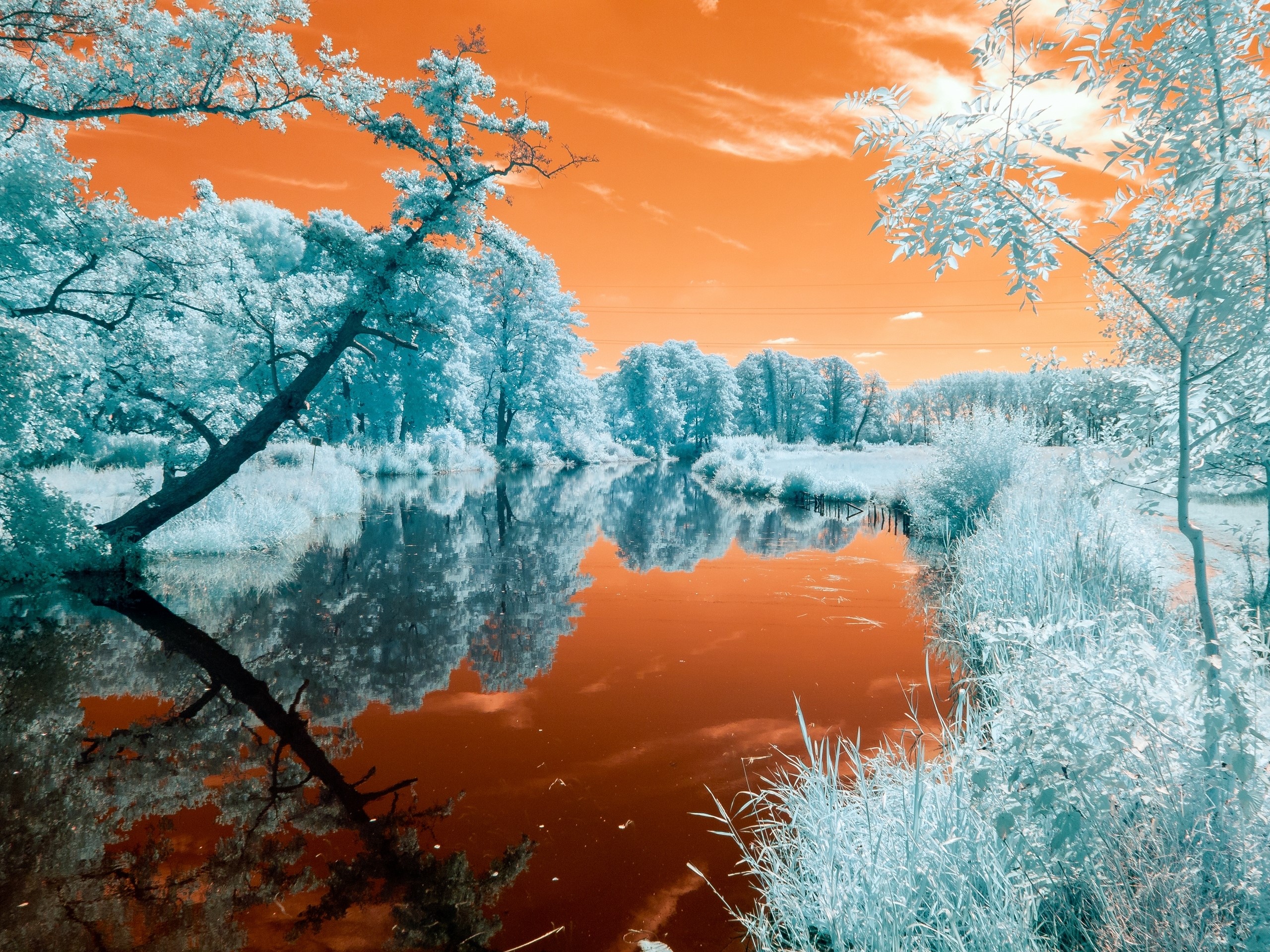 Infrared landscape with river and trees HD Wallpaper