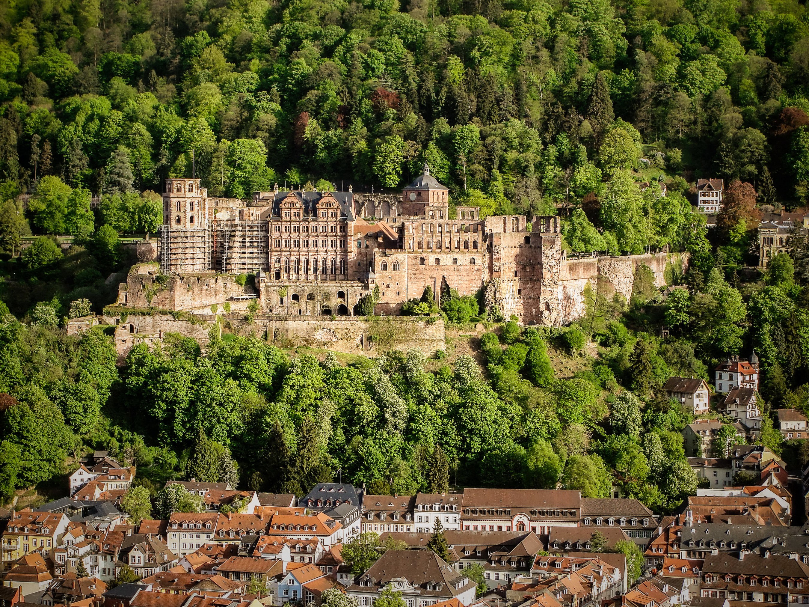 Heidelberg Castle in Germany surrounded by forest HD Wallpaper