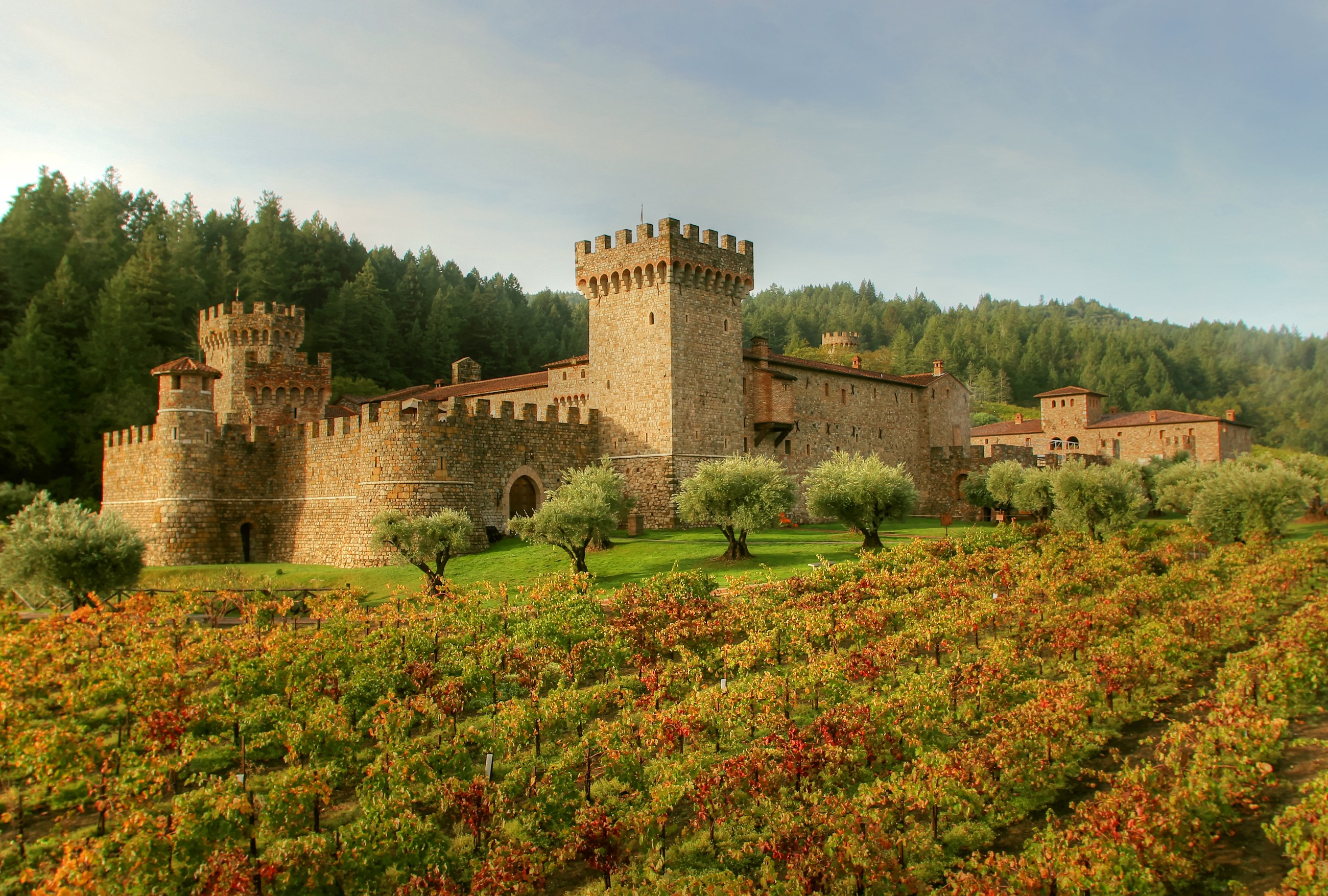 Castello di Amorosa winery with vineyards HD Wallpaper