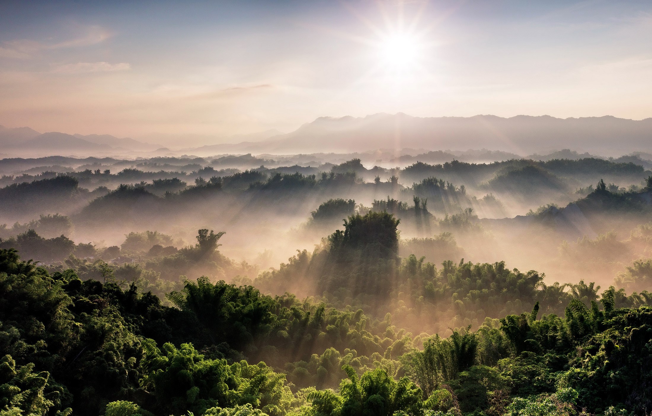 Misty Mountains with Sun Rays Over Forest HD Wallpaper