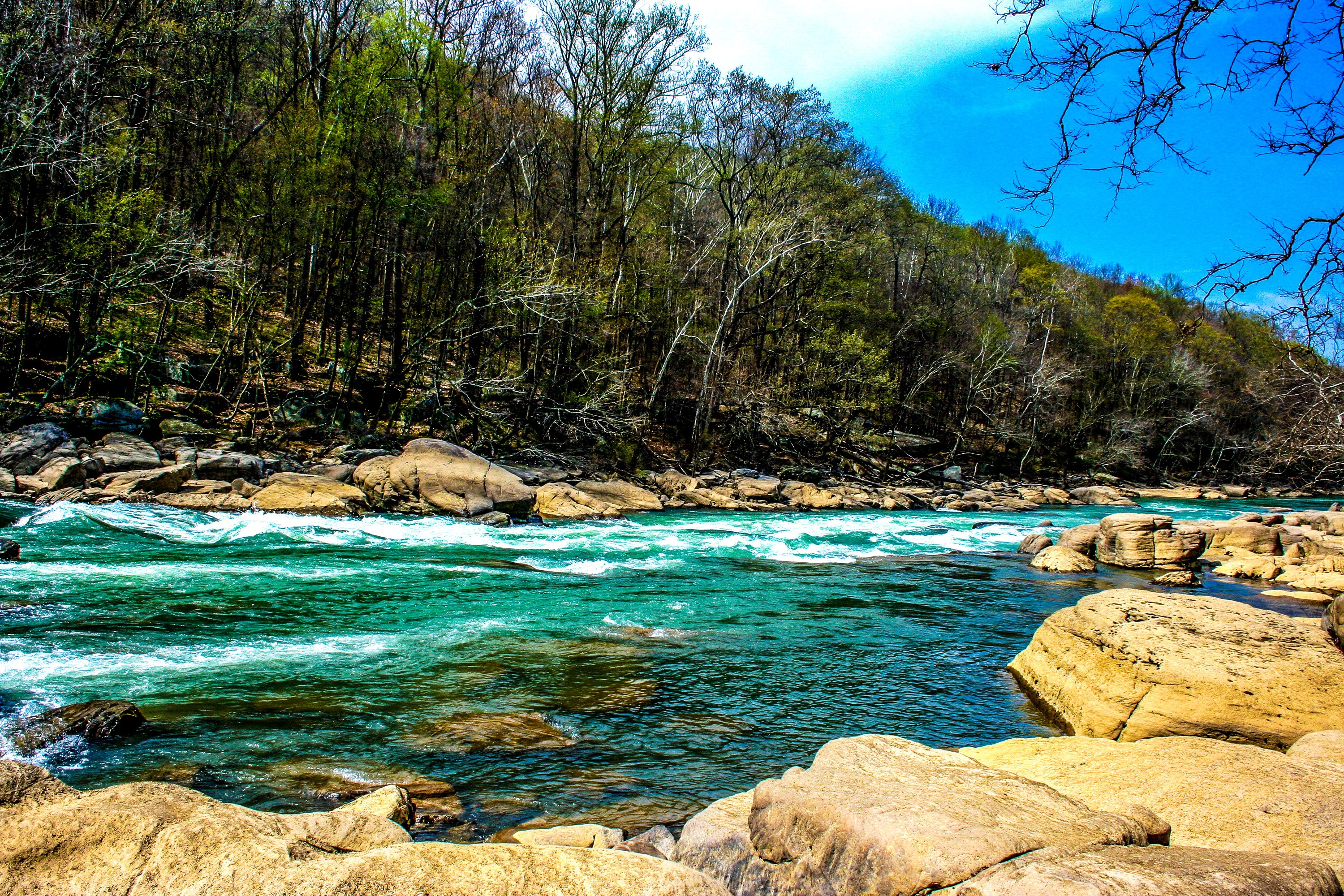 Turquoise River Flowing Through Rocky Forest HD Wallpaper
