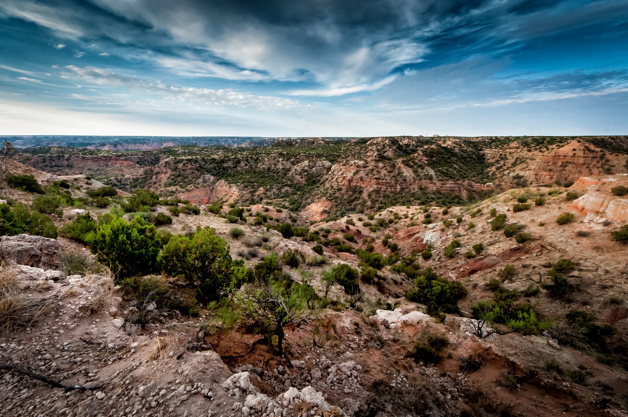 Canyon landscape with shrubs and dramatic sky HD Wallpaper