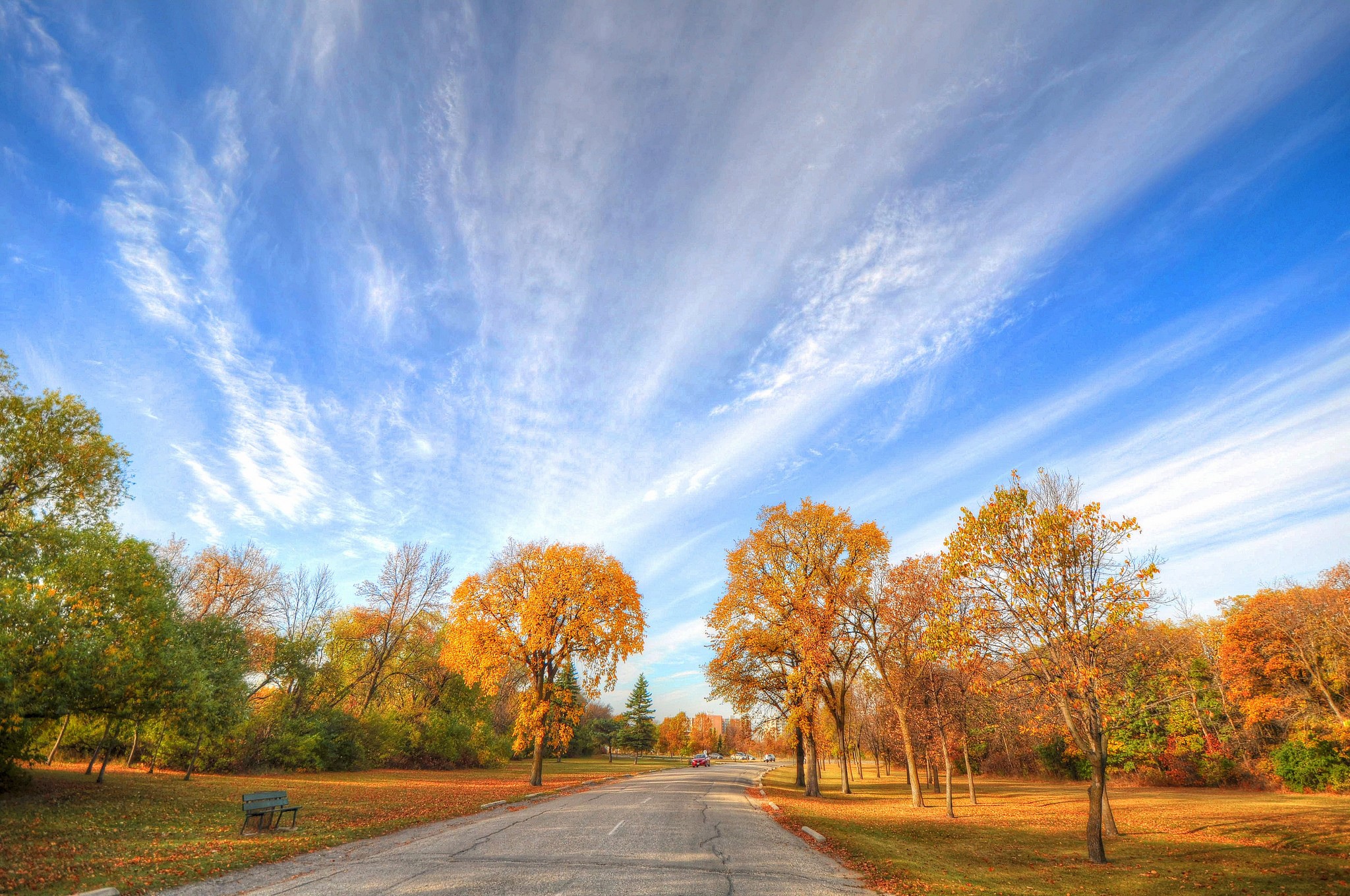 Autumn road through a park with colorful trees HD Wallpaper