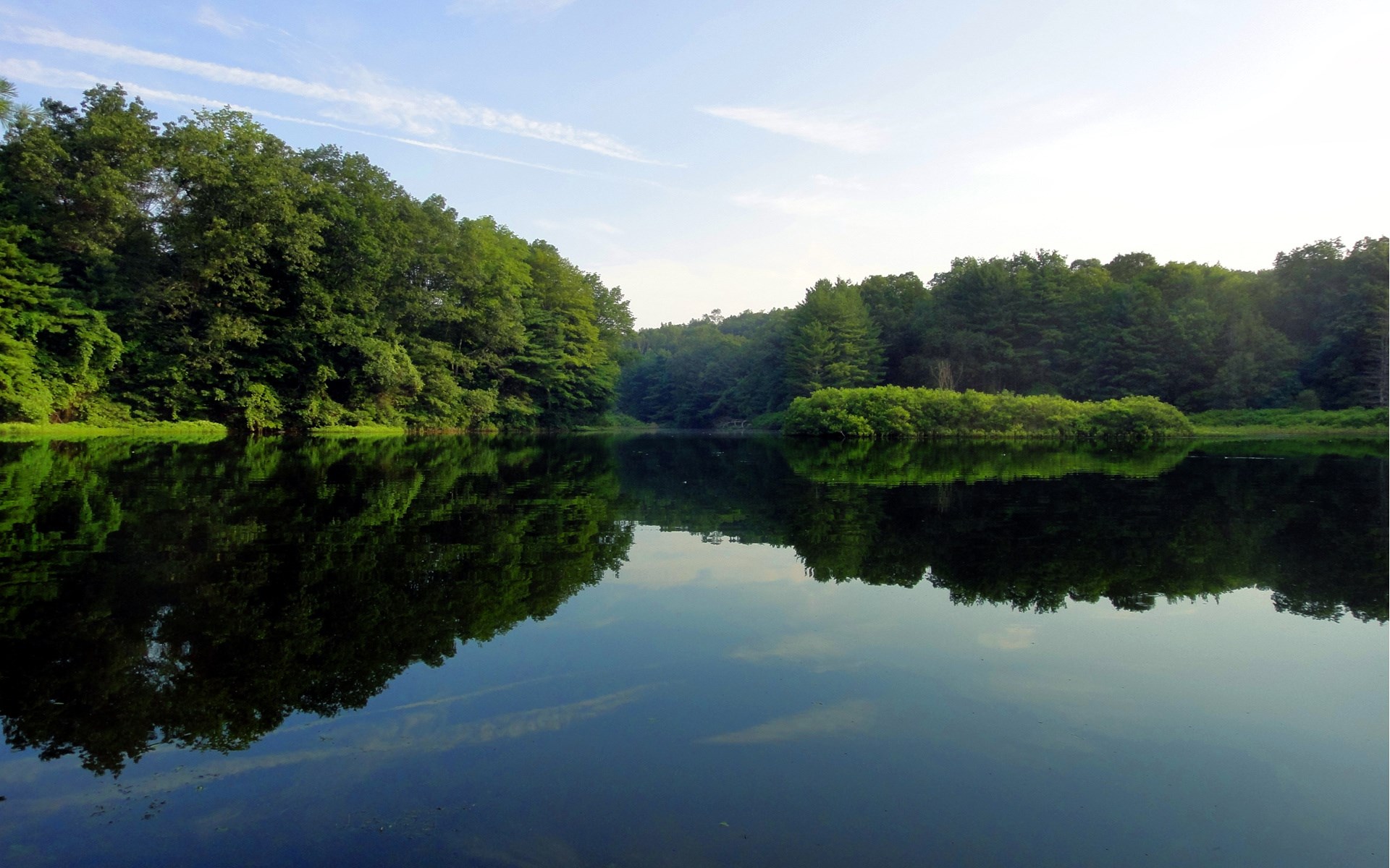Trees reflected in a calm lake under a blue sky HD Wallpaper