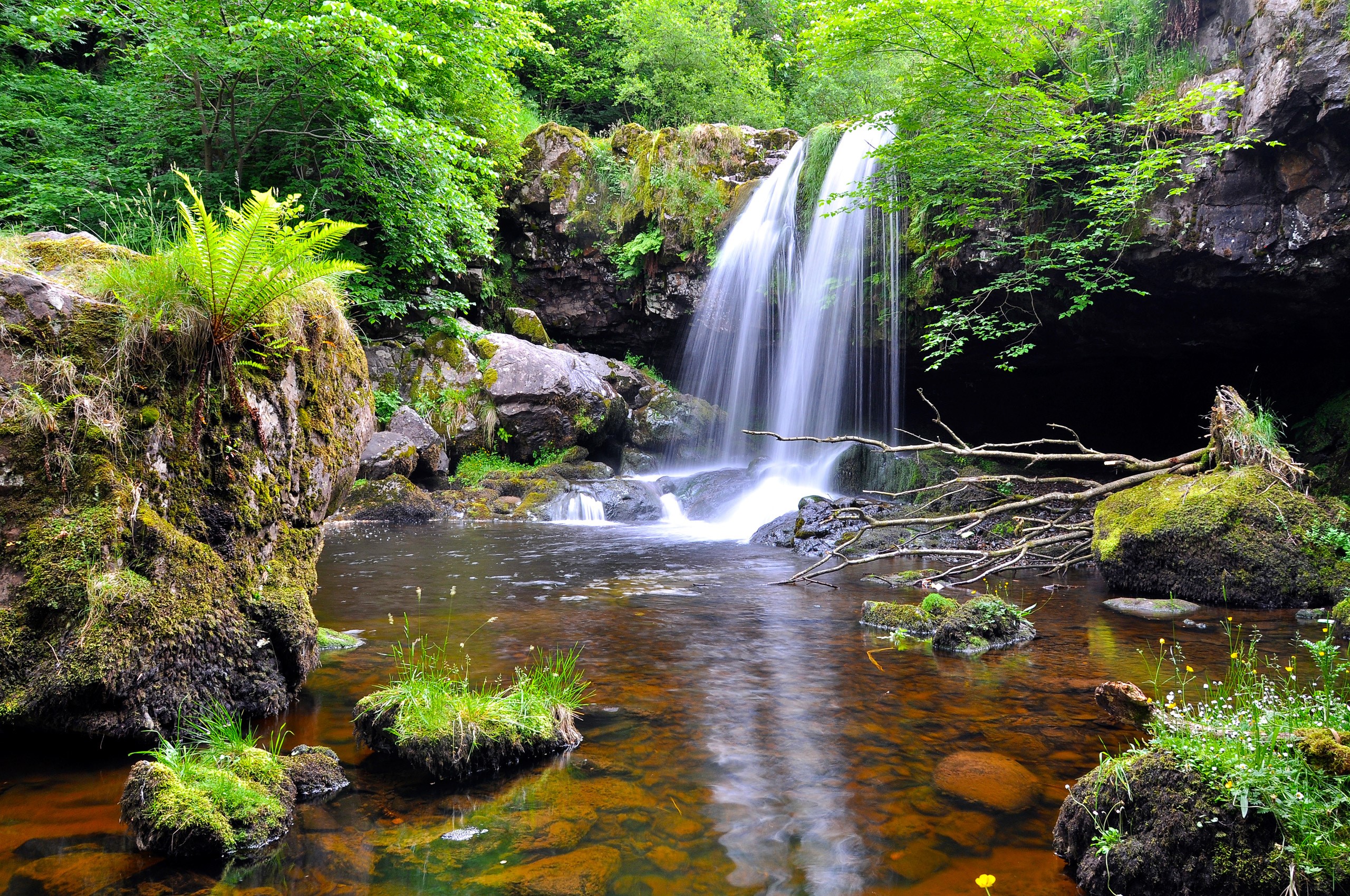 Waterfall cascading into a forest pool with mossy rocks HD Wallpaper