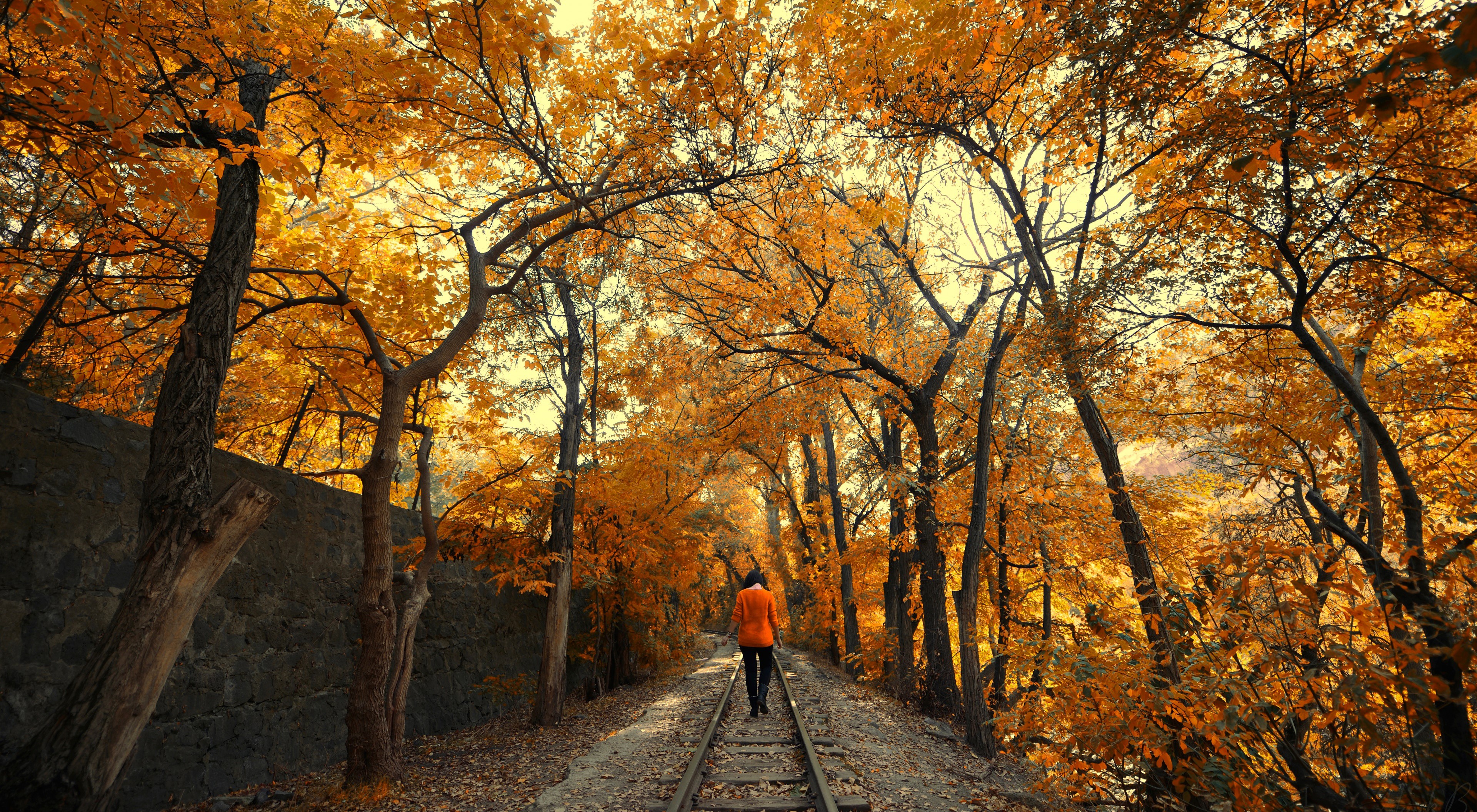 Person walking on railroad tracks surrounded by autumn trees HD Wallpaper