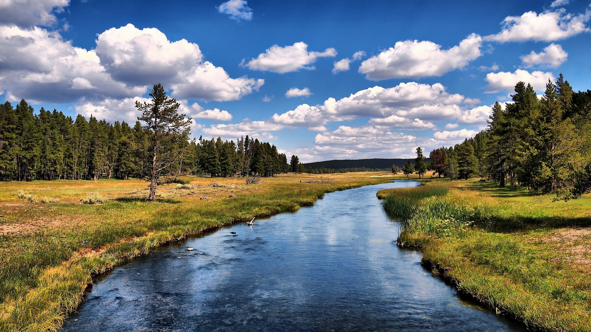 River flowing through a forest under a cloudy sky HD Wallpaper