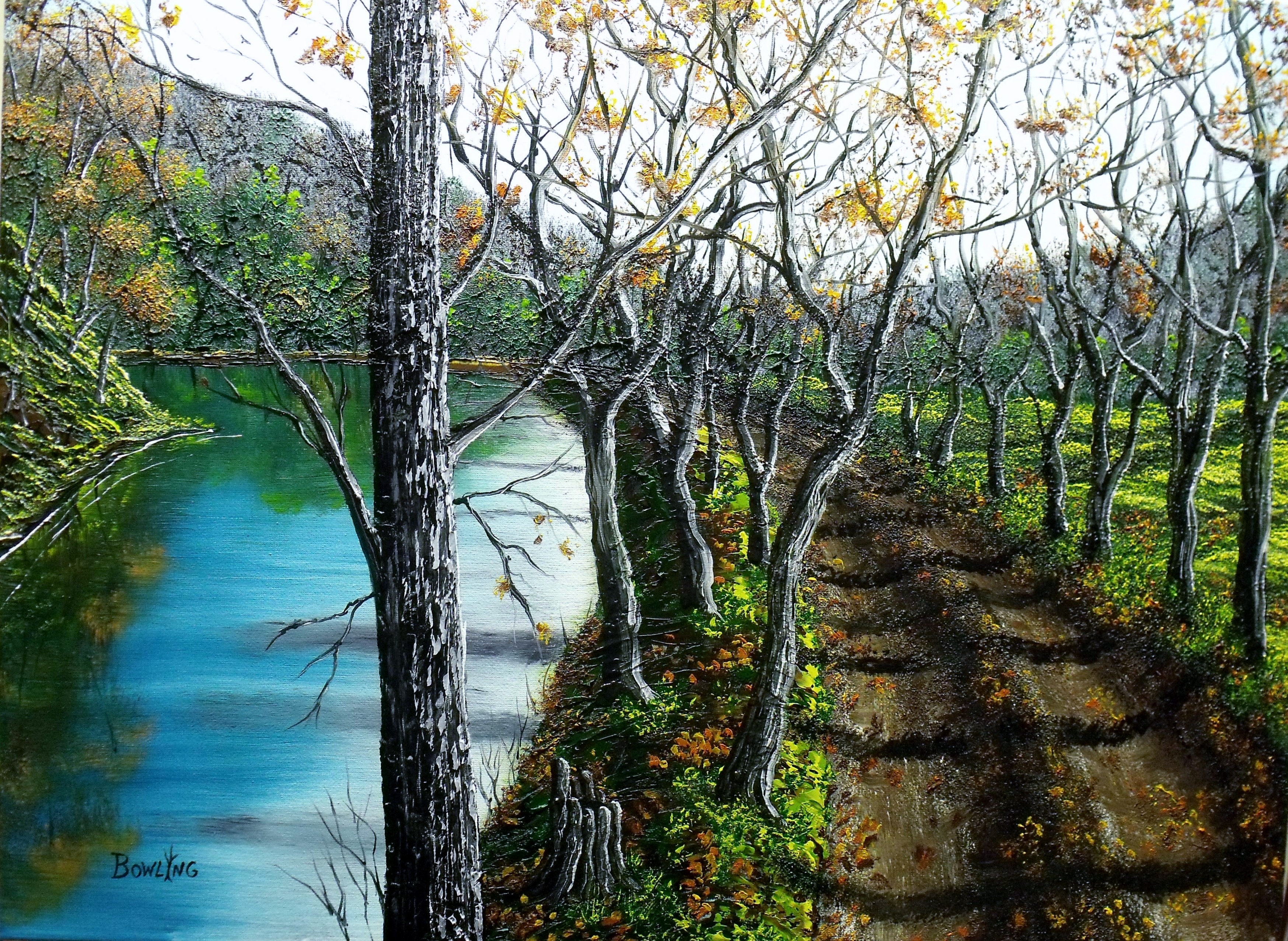 Autumn forest path beside a lake HD Wallpaper