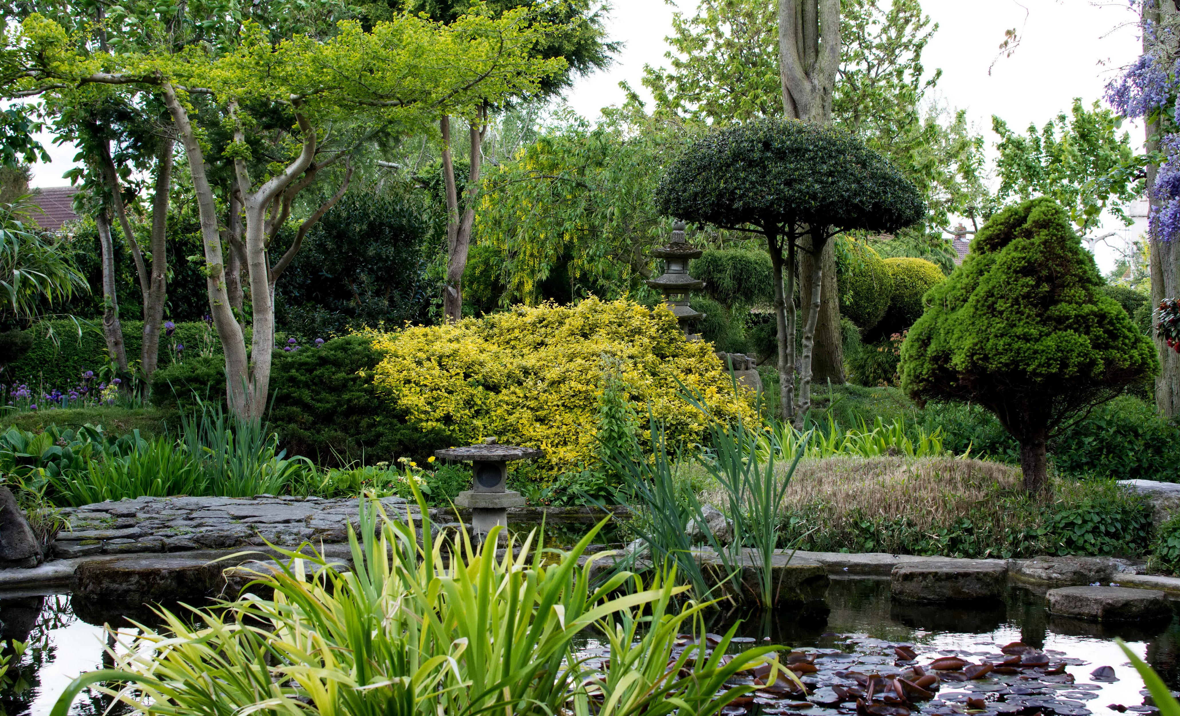 Japanese Garden with Pond and Topiary Trees HD Wallpaper