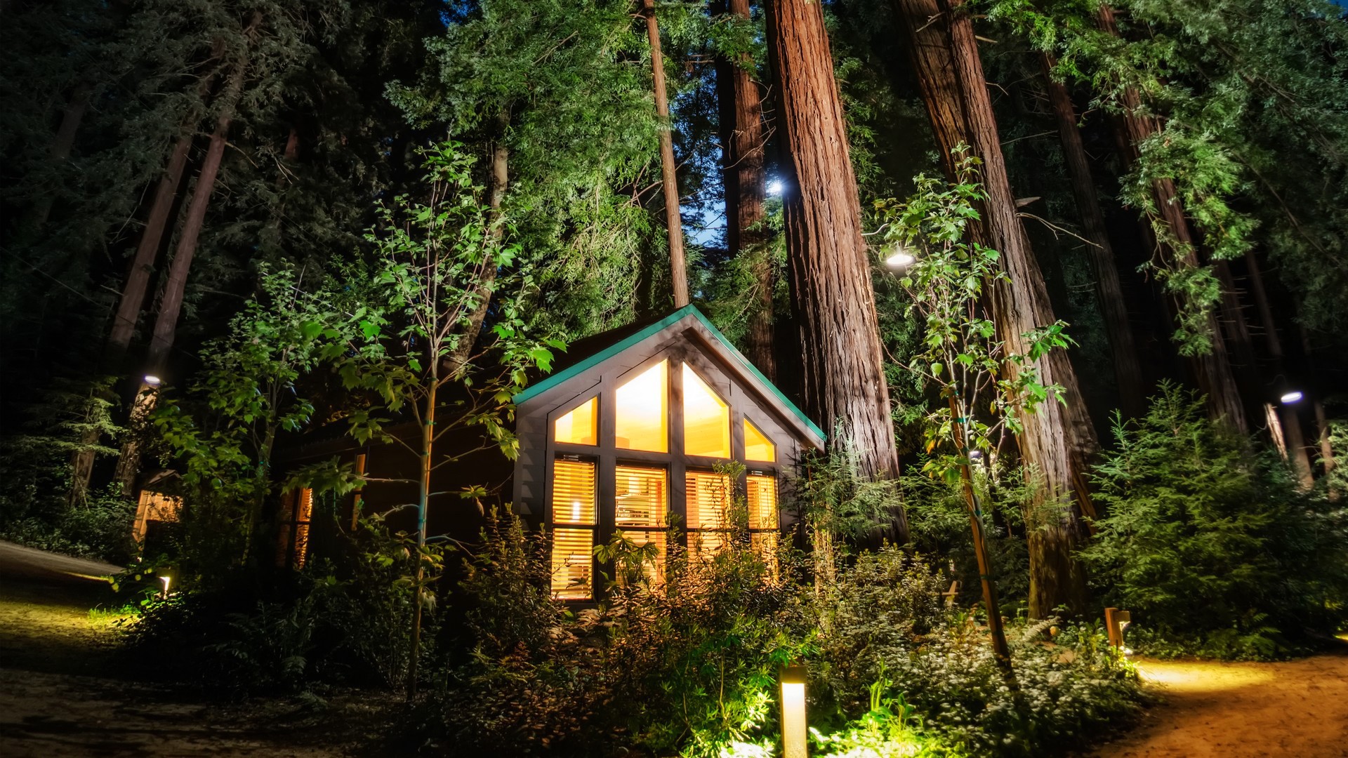 A cabin at night in a redwood forest HD Wallpaper