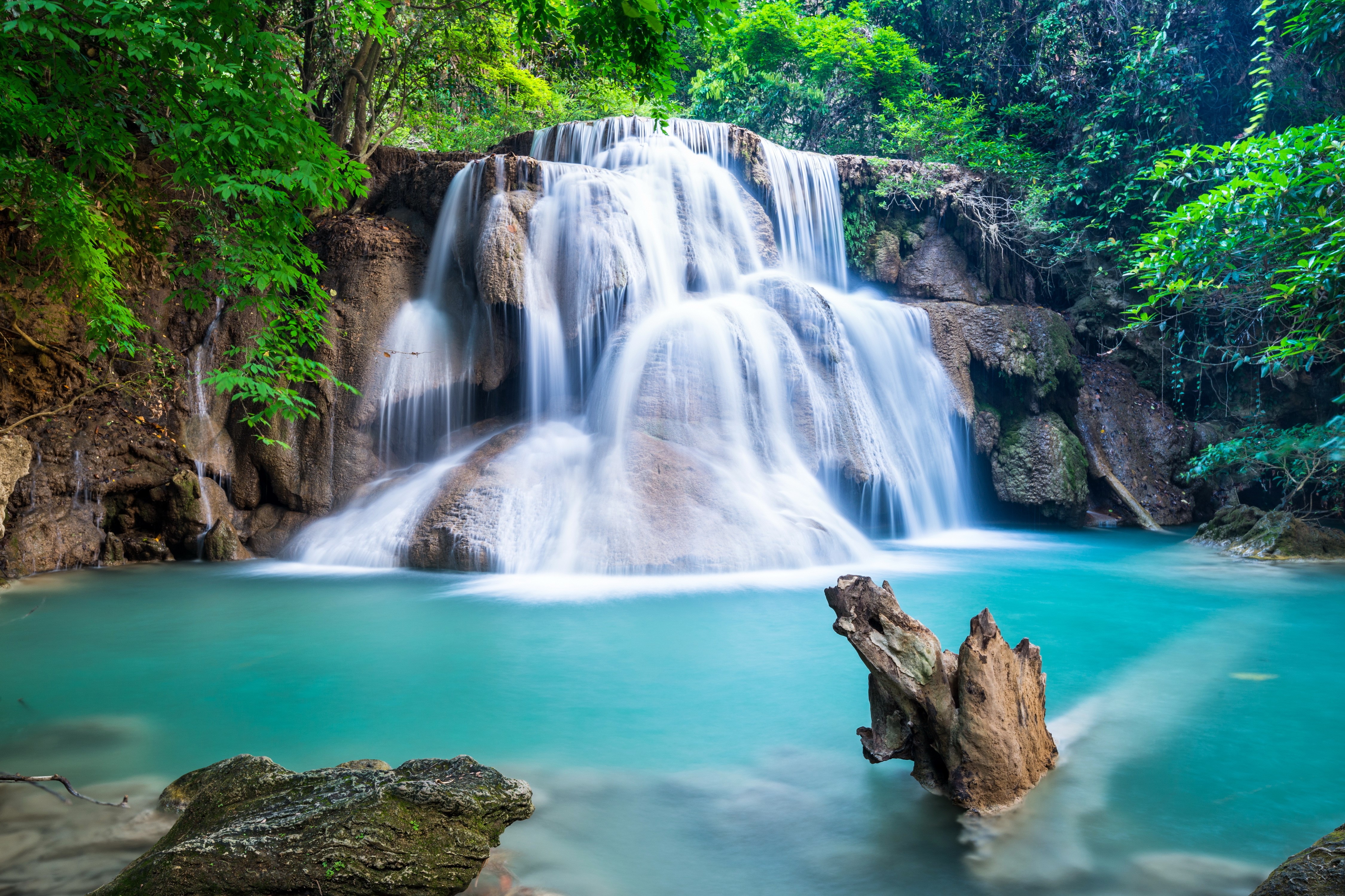 4K Waterfall in a Lush Forest HD Wallpaper