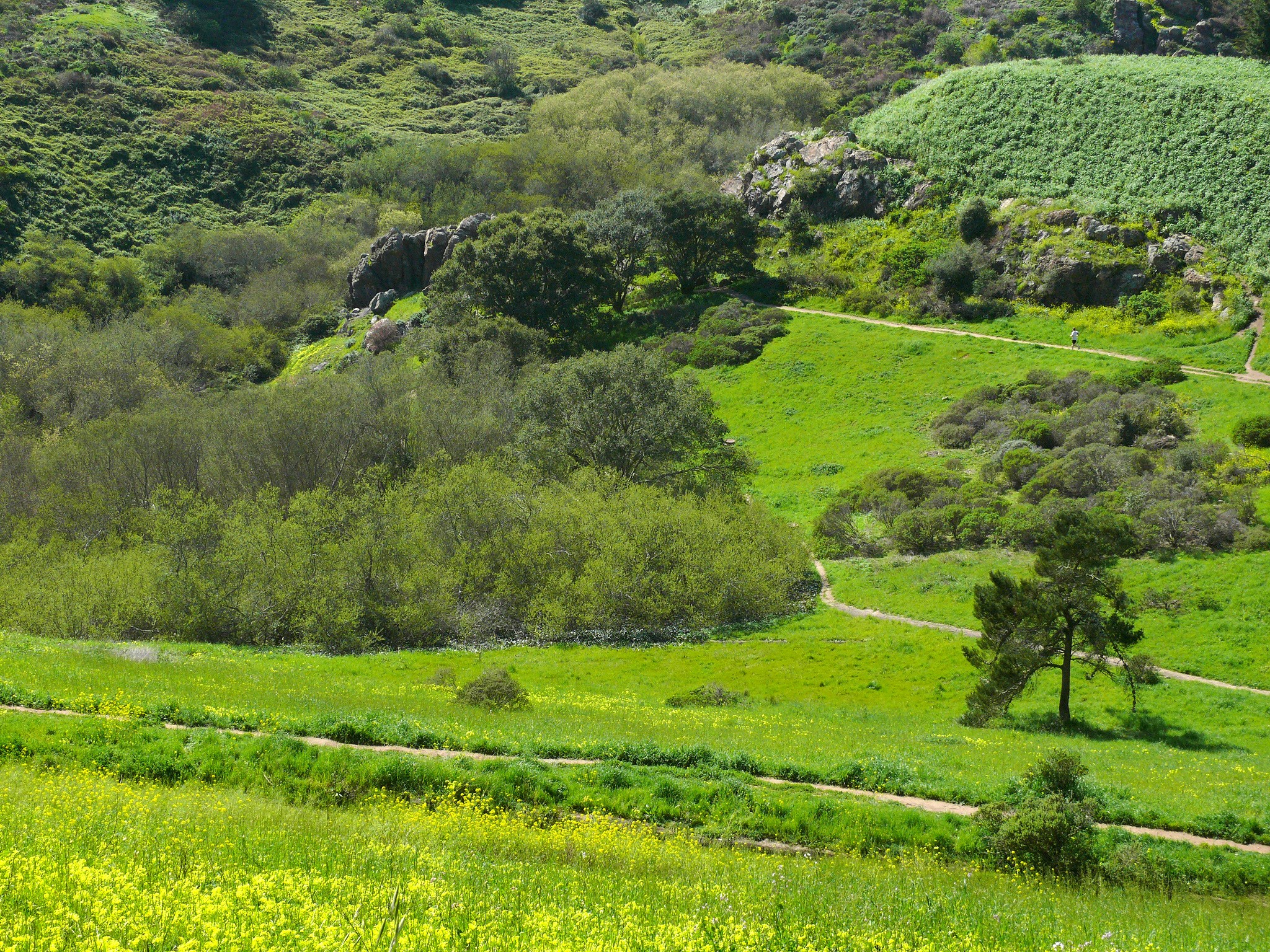 Glen Canyon Park, San Francisco, California HD Wallpaper