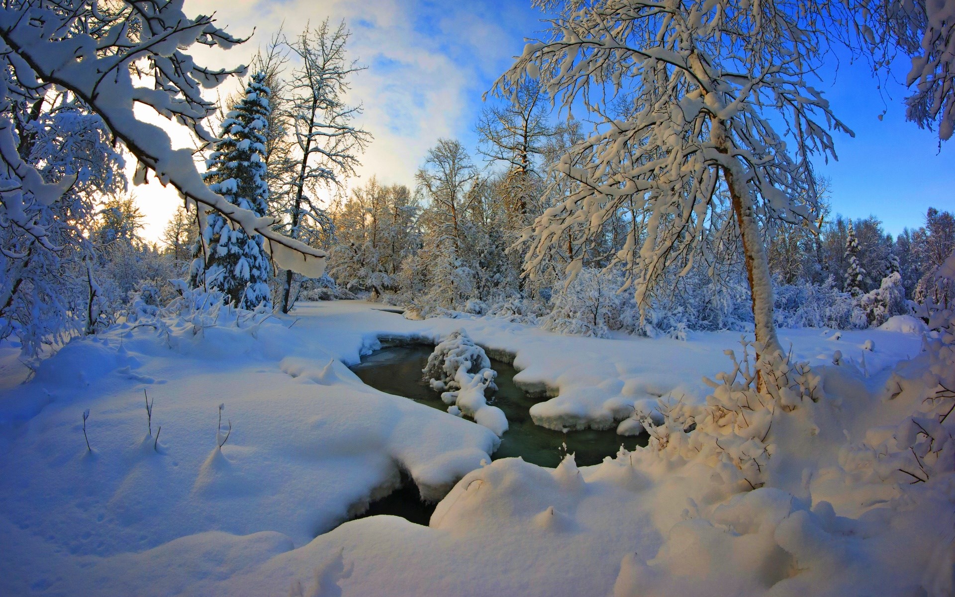 Snowy forest with a stream and blue sky HD Wallpaper
