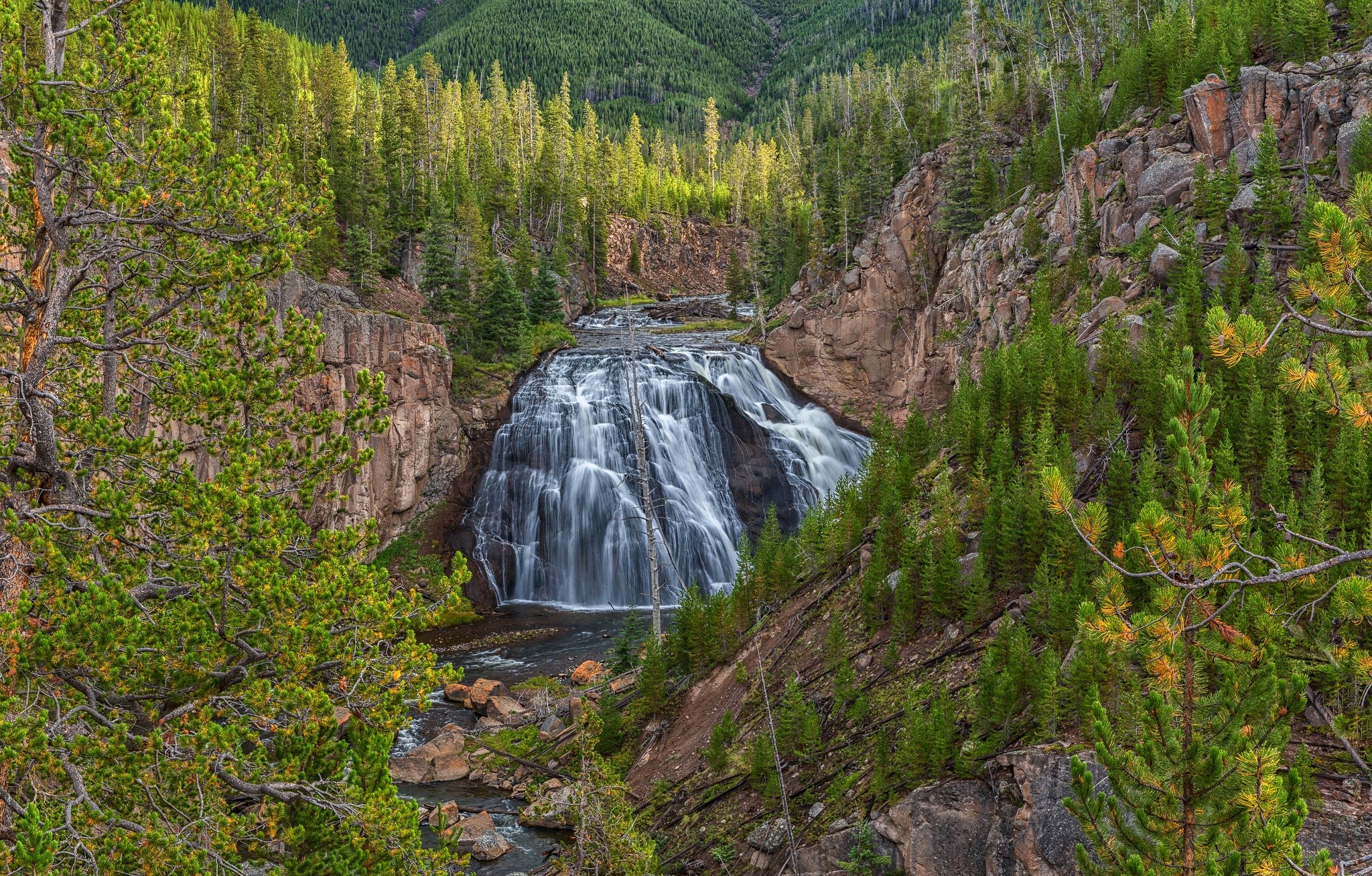 Gibbon Falls in Yellowstone National Park HD Wallpaper
