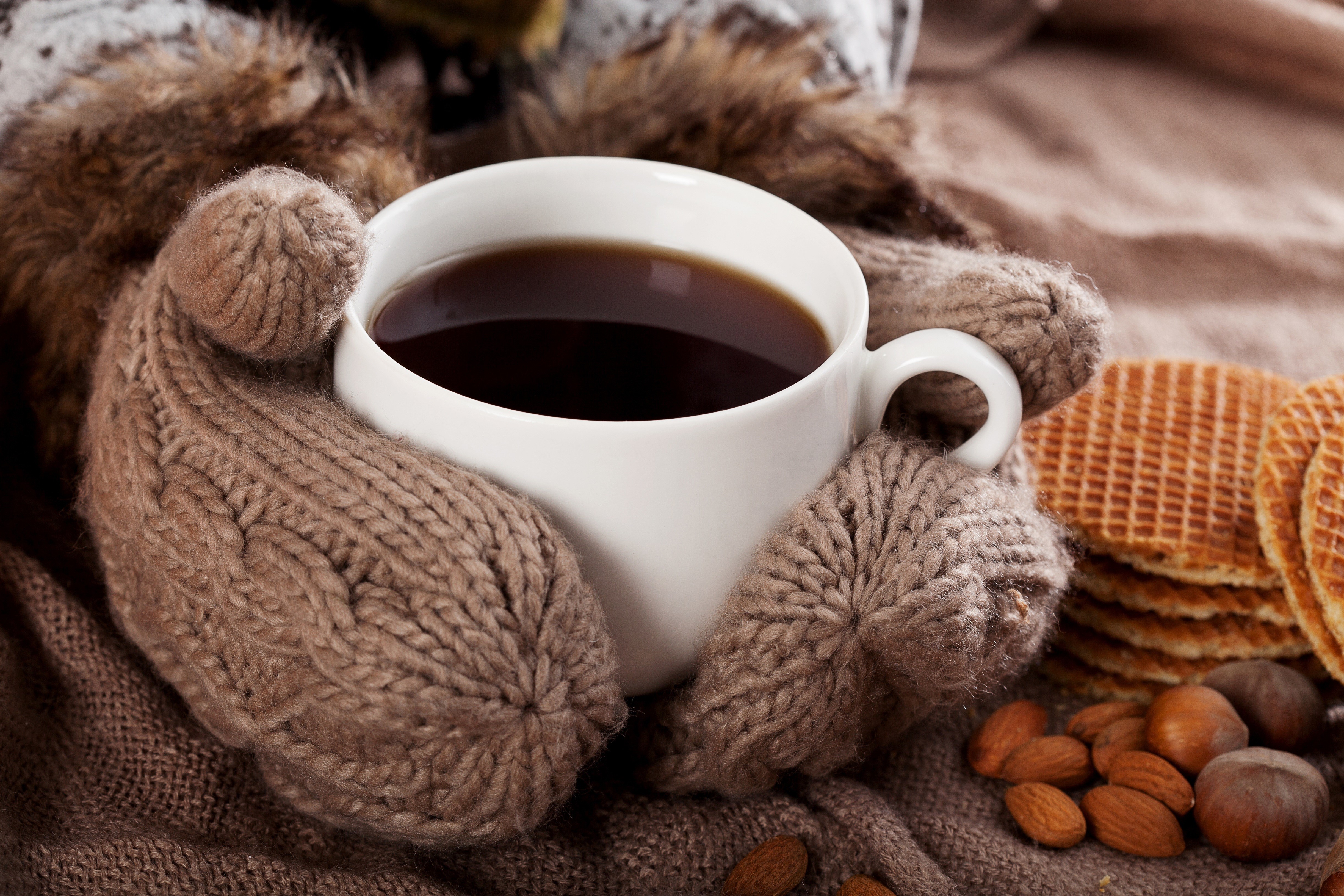 Coffee cup held by hands in mittens with cookies and nuts HD Wallpaper