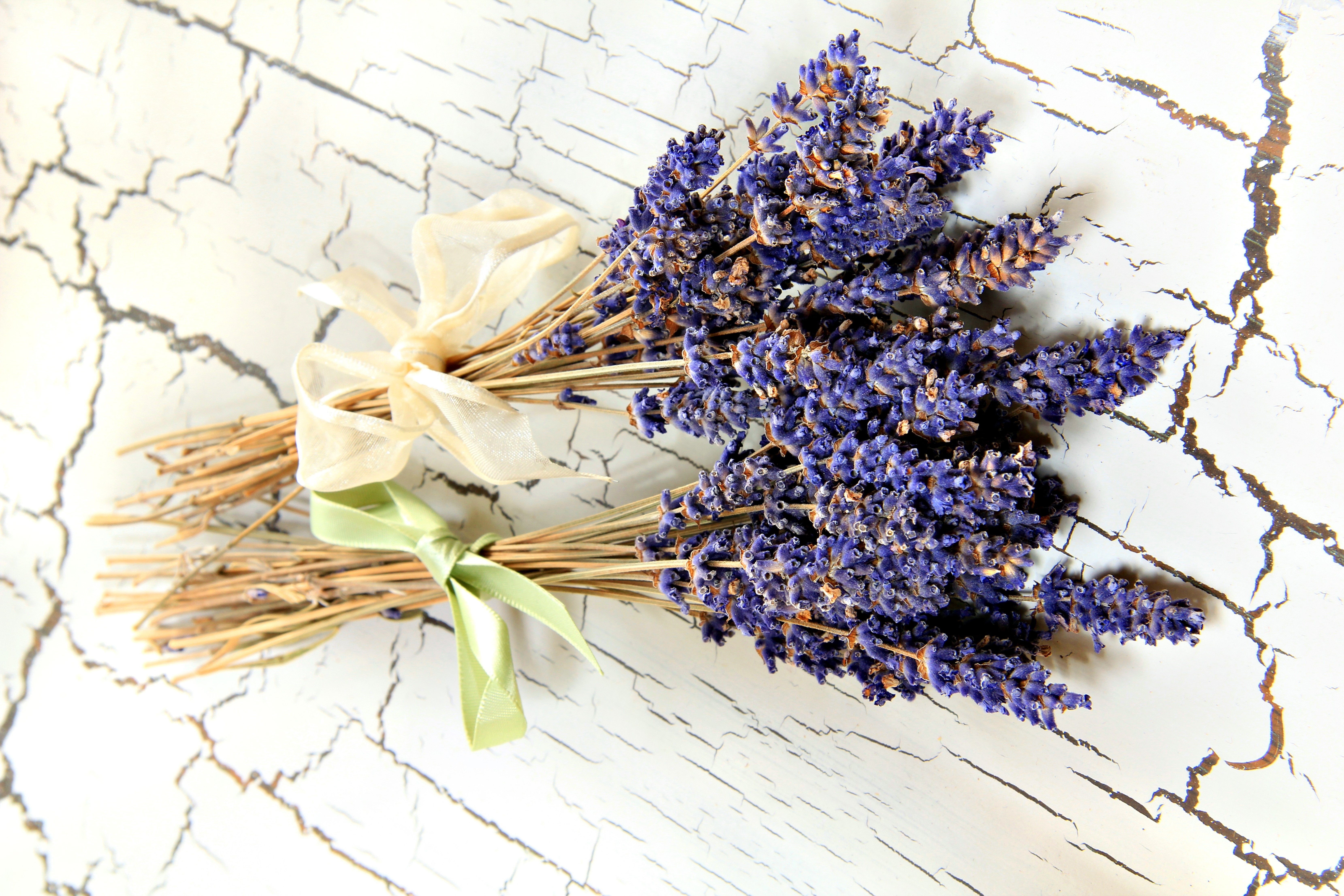 Dried Lavender Bouquets Tied with Ribbons HD Wallpaper