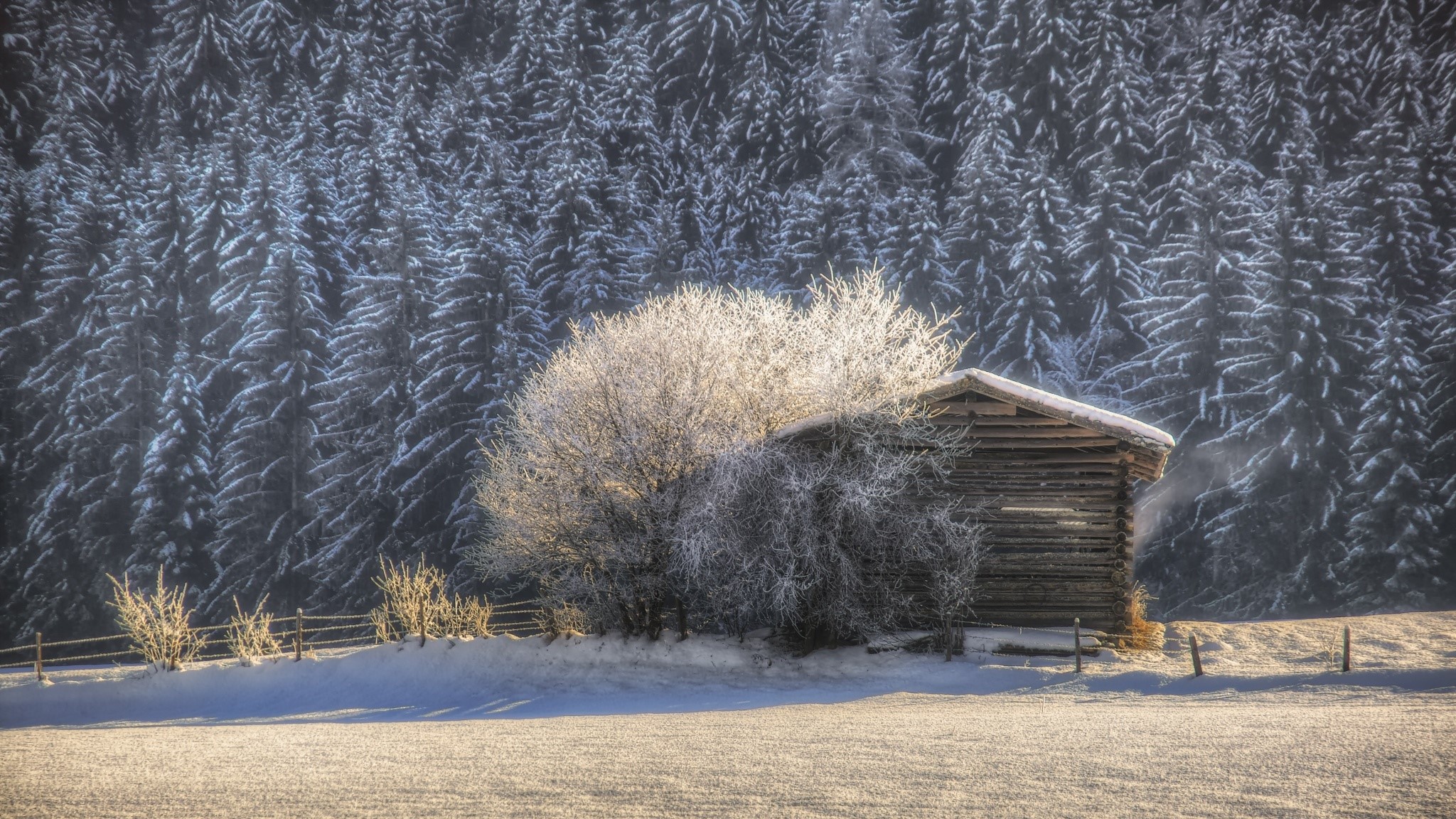 Wooden cabin in a snowy forest with frosted trees HD Wallpaper