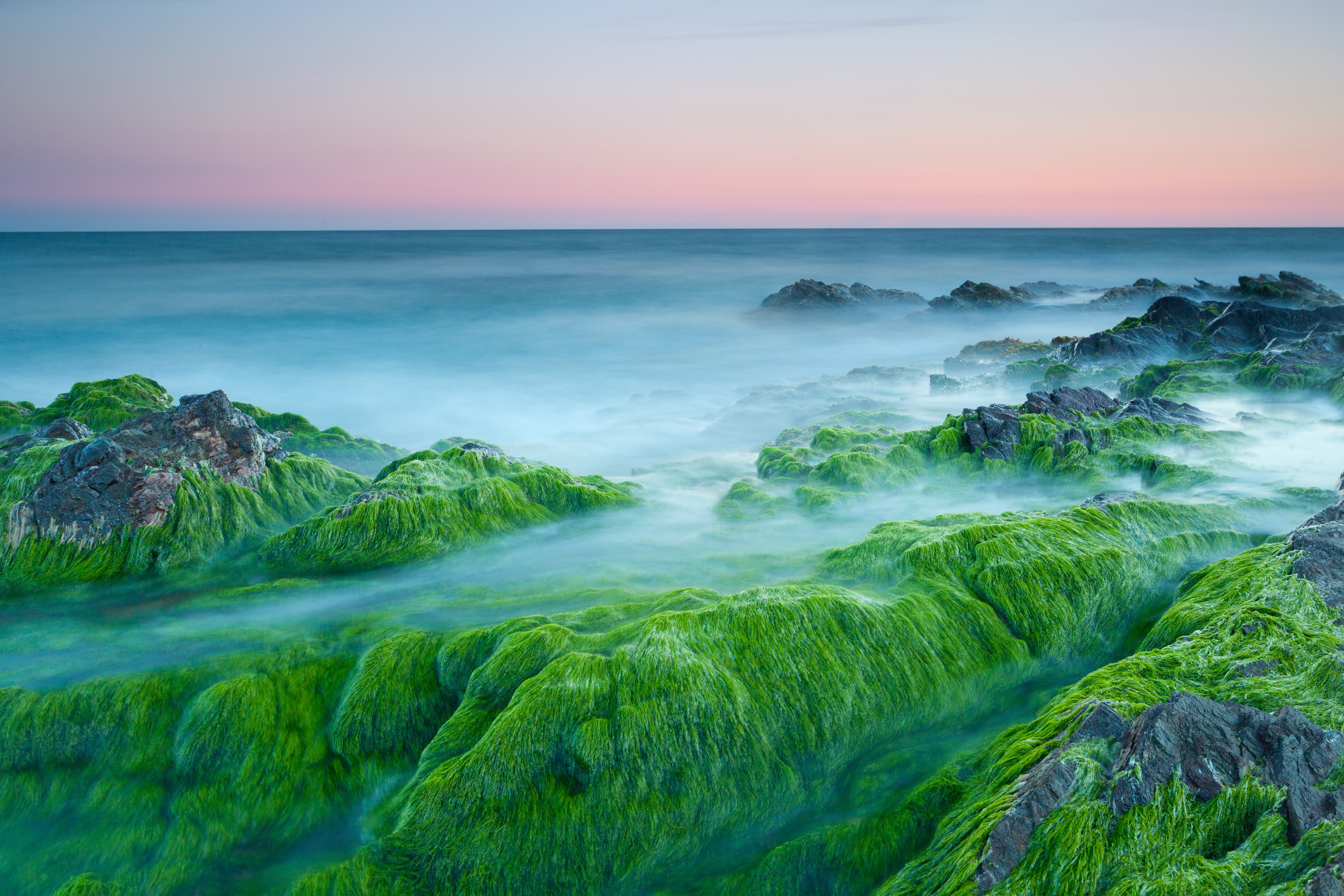 Green Algae Covered Rocks on Coastline at Sunset HD Wallpaper