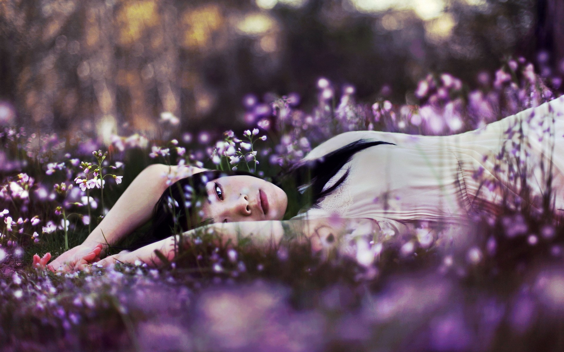 Brunette girl lying in a field of purple flowers HD Wallpaper