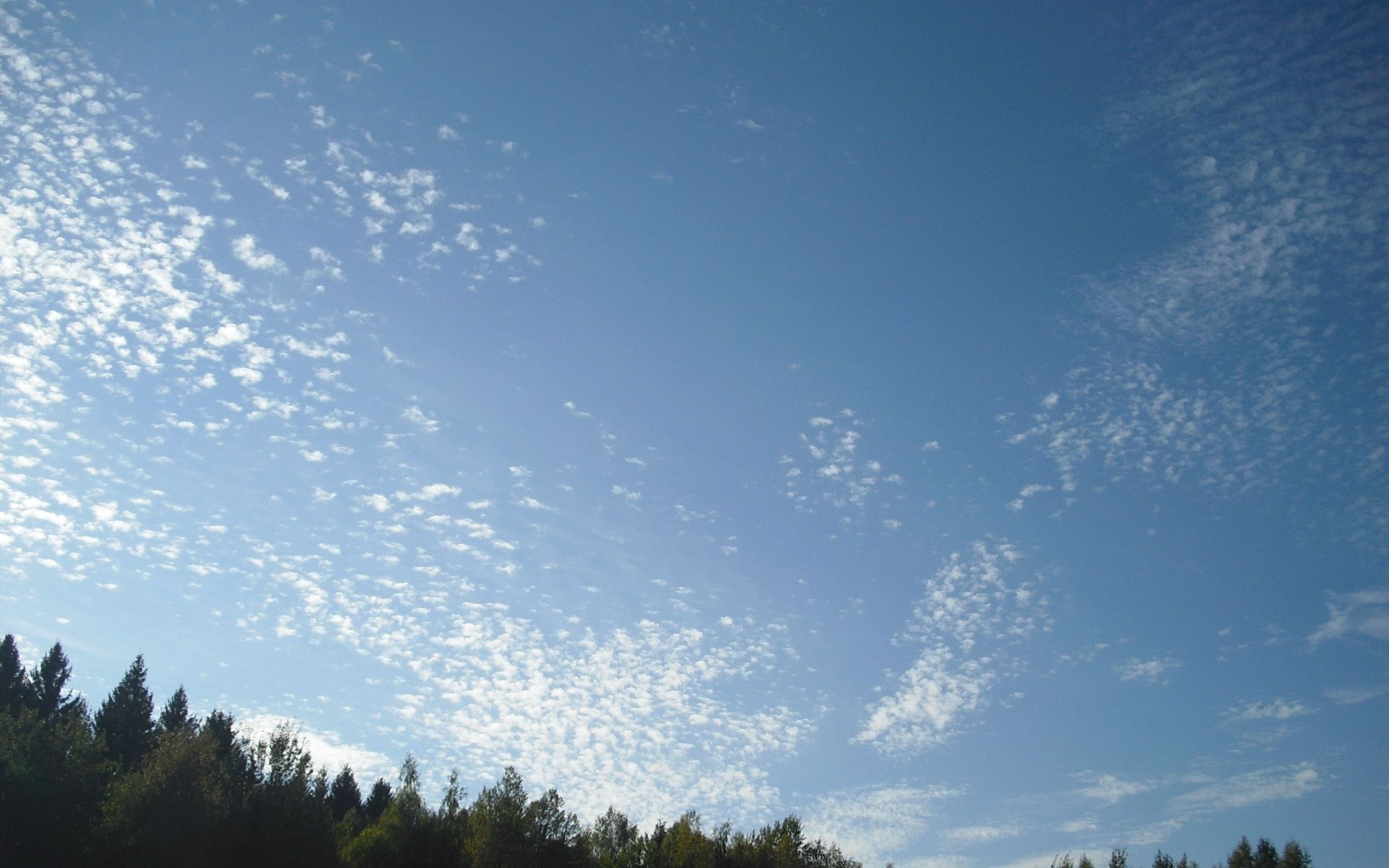 Sky with clouds over trees HD Wallpaper