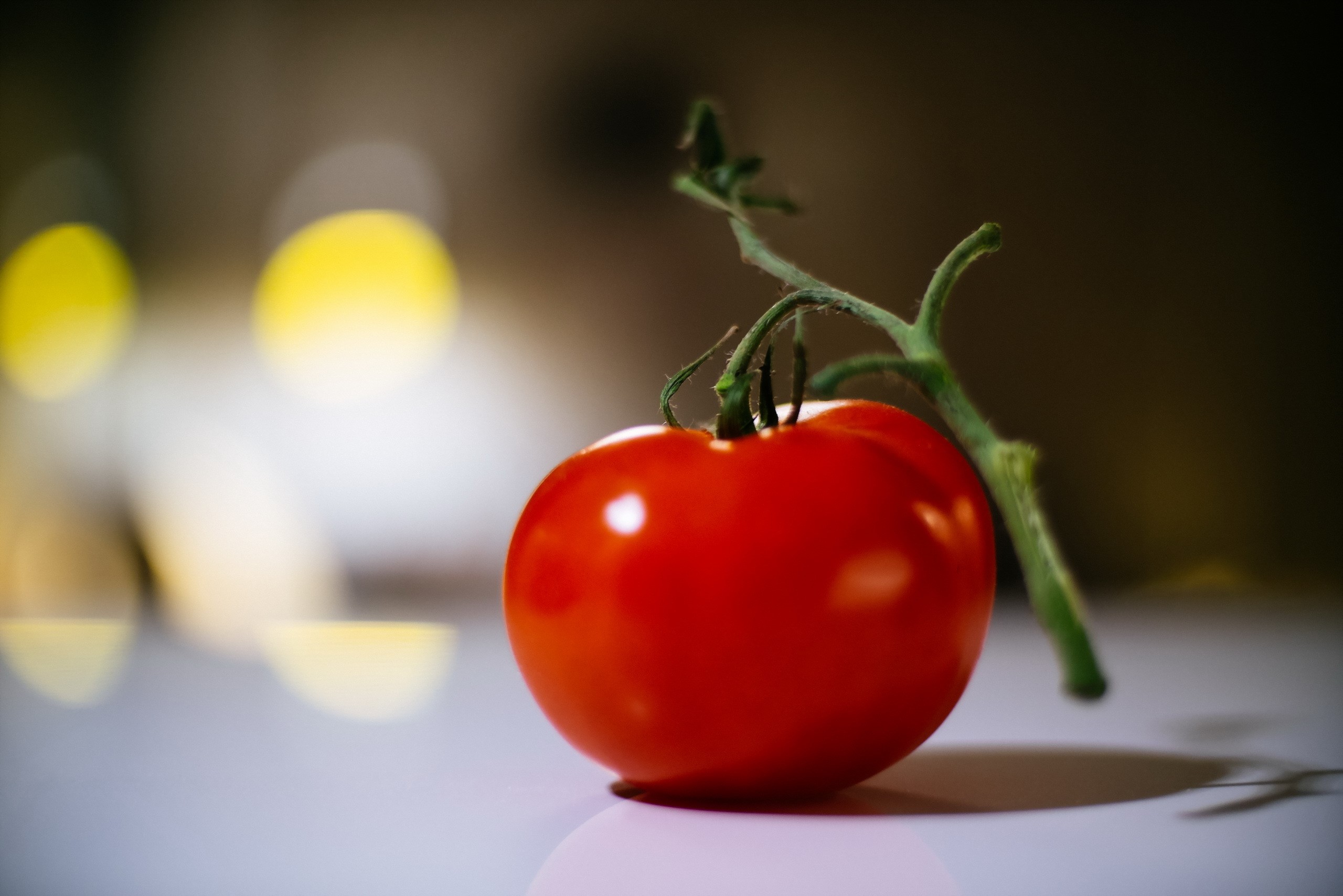 A single red tomato on a vine HD Wallpaper