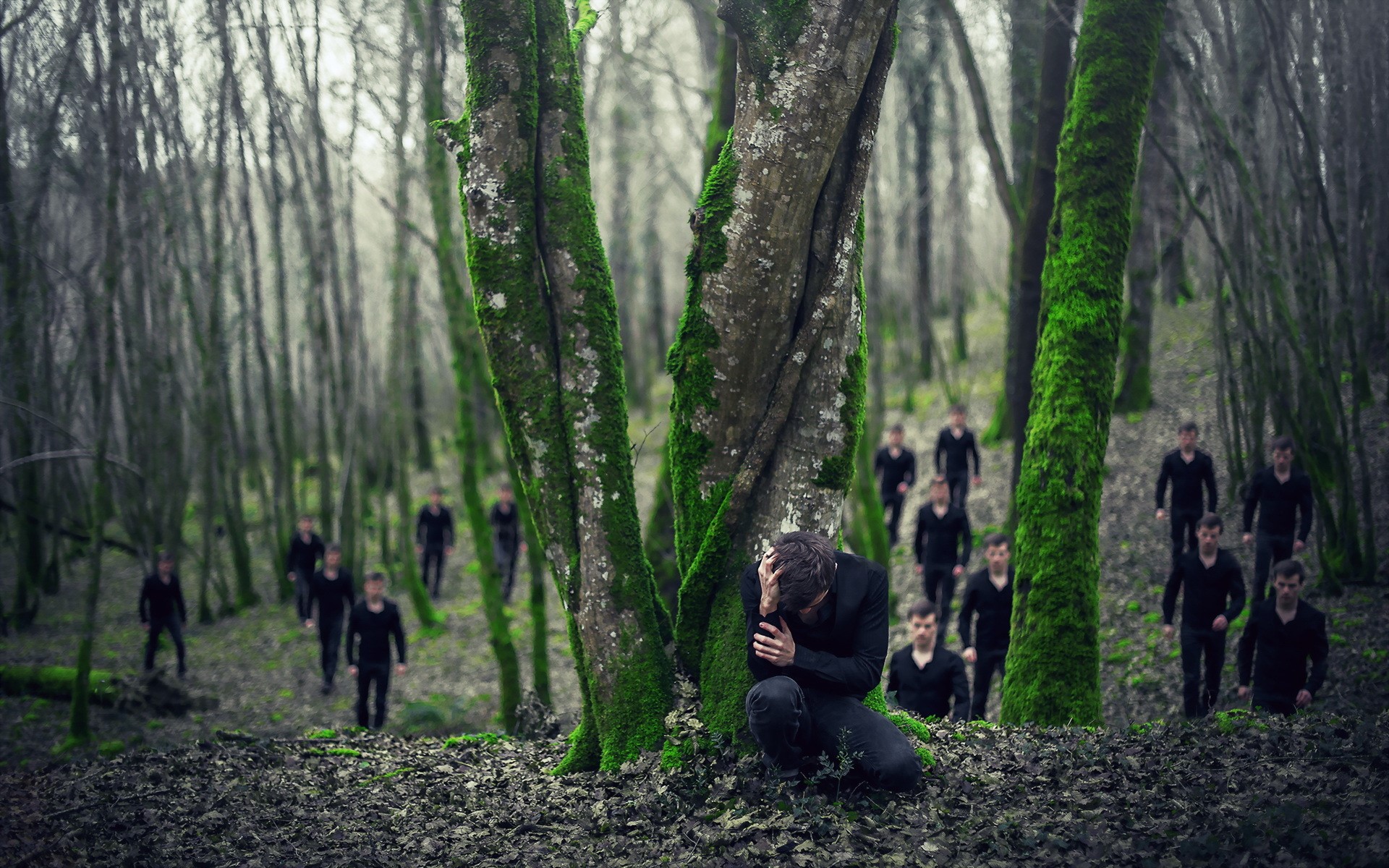 Men in a mossy forest HD Wallpaper